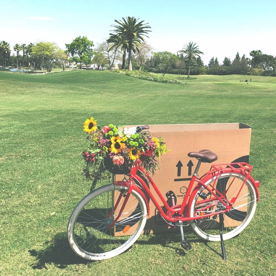 Caja para Bicicleta de Cartón Reforzado Doble Onda 140x25x80 cm con Asas Resistentes