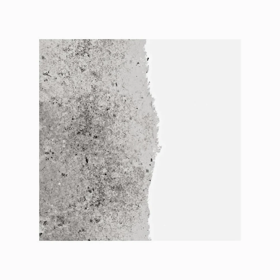 RIPOLIN – Capa interior antihumedad interior – Soportes húmedos o difíciles – Fija los fondos porosos – Alta protección – Máscara de aureolas y manchas de humedad – Mate – 0,75 L – Blanco