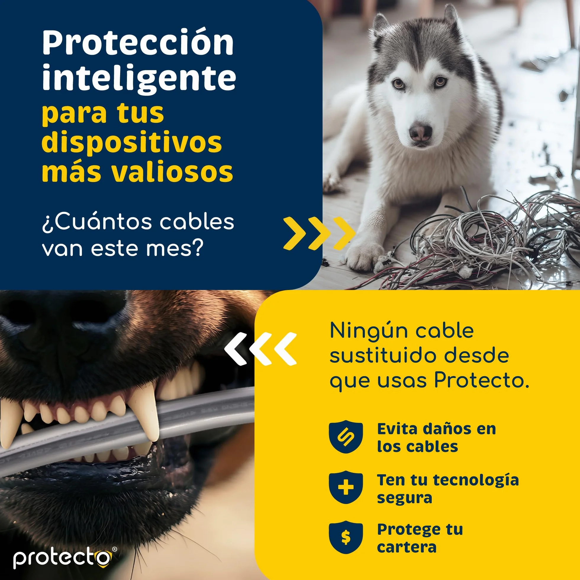 PROTECTO Pack de 2 Fundas Protectora de Cables para Mascotas – 2,15 m/Ø 5 mm – Ultra Resistente, Transparente, Flexible, Inodora, Anti-Mordeduras – para Cables Eléctricos, USB, Lightning, RCA y HDMI