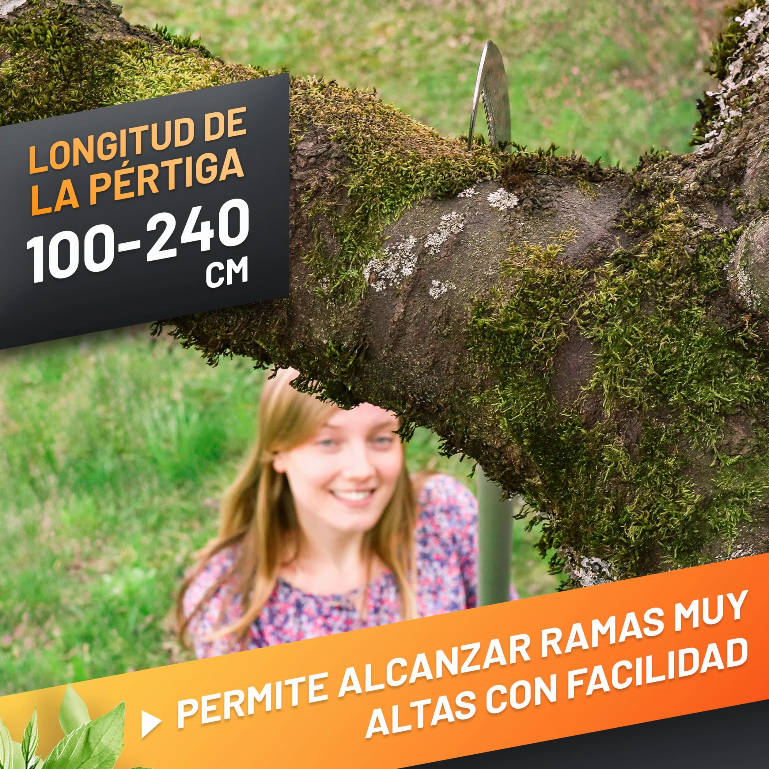 GRÜNTEK Sierra de Podar Telescópica 100-240 cm Cortarramas