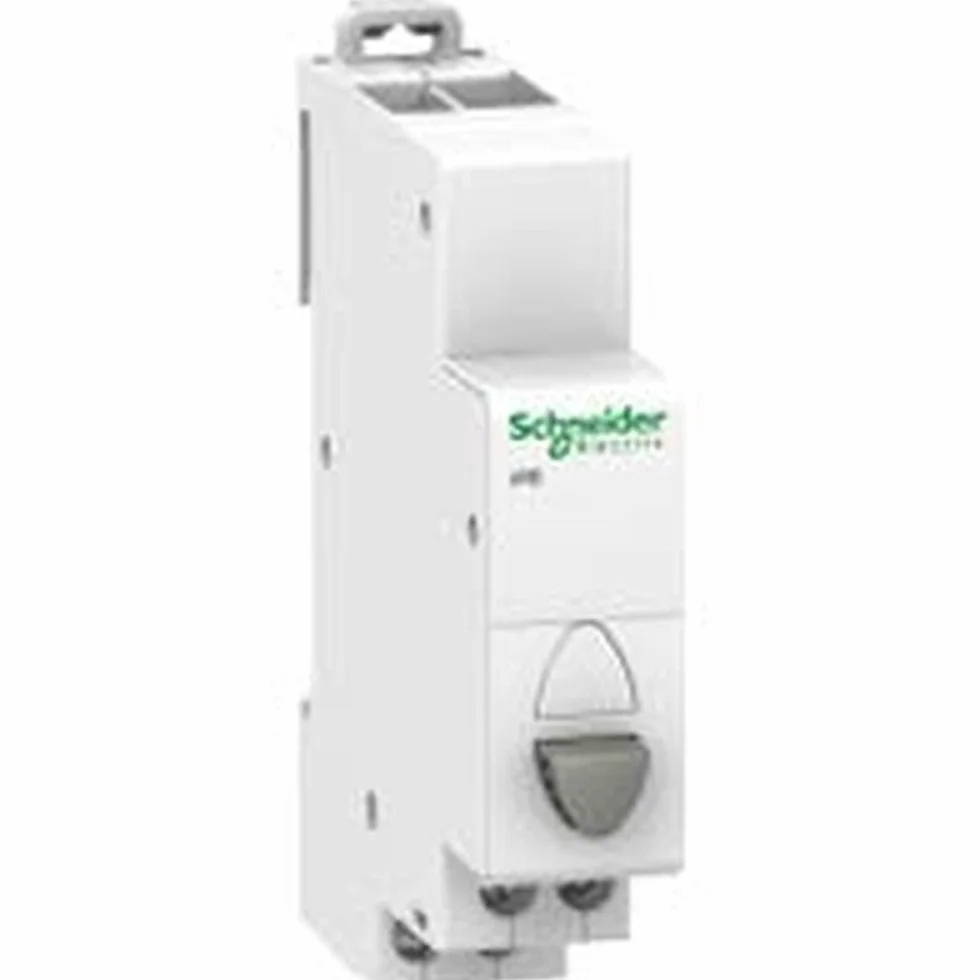 Schneider Electric A9E18033 Pulsadores IPB Simple 1NO-1NC, Gris