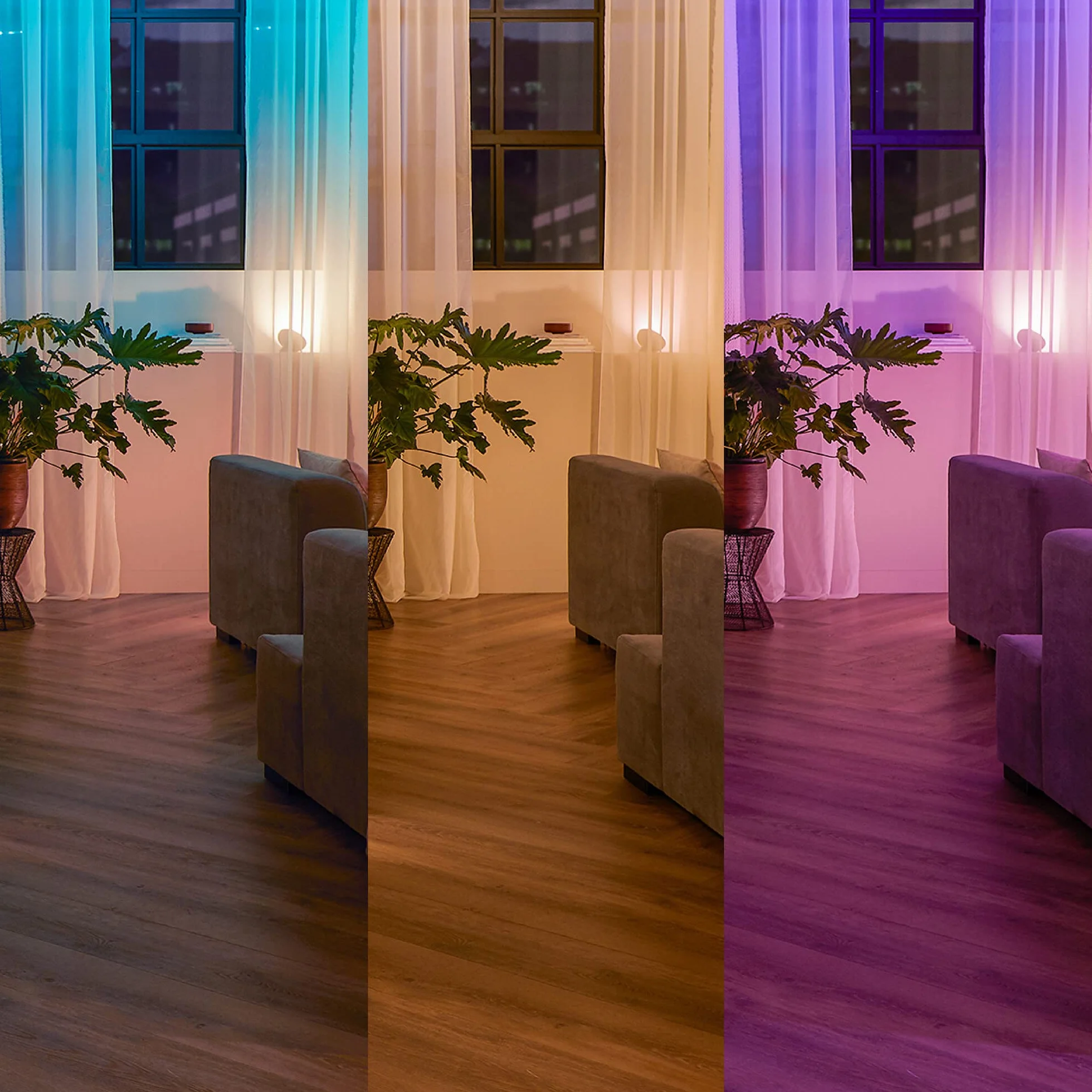 Philips Hue Módulo de interruptor de pared blanco