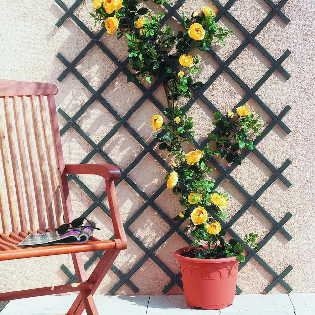 Celosia PVC Extensible 1x2 m blanco Trelliflex Nortene