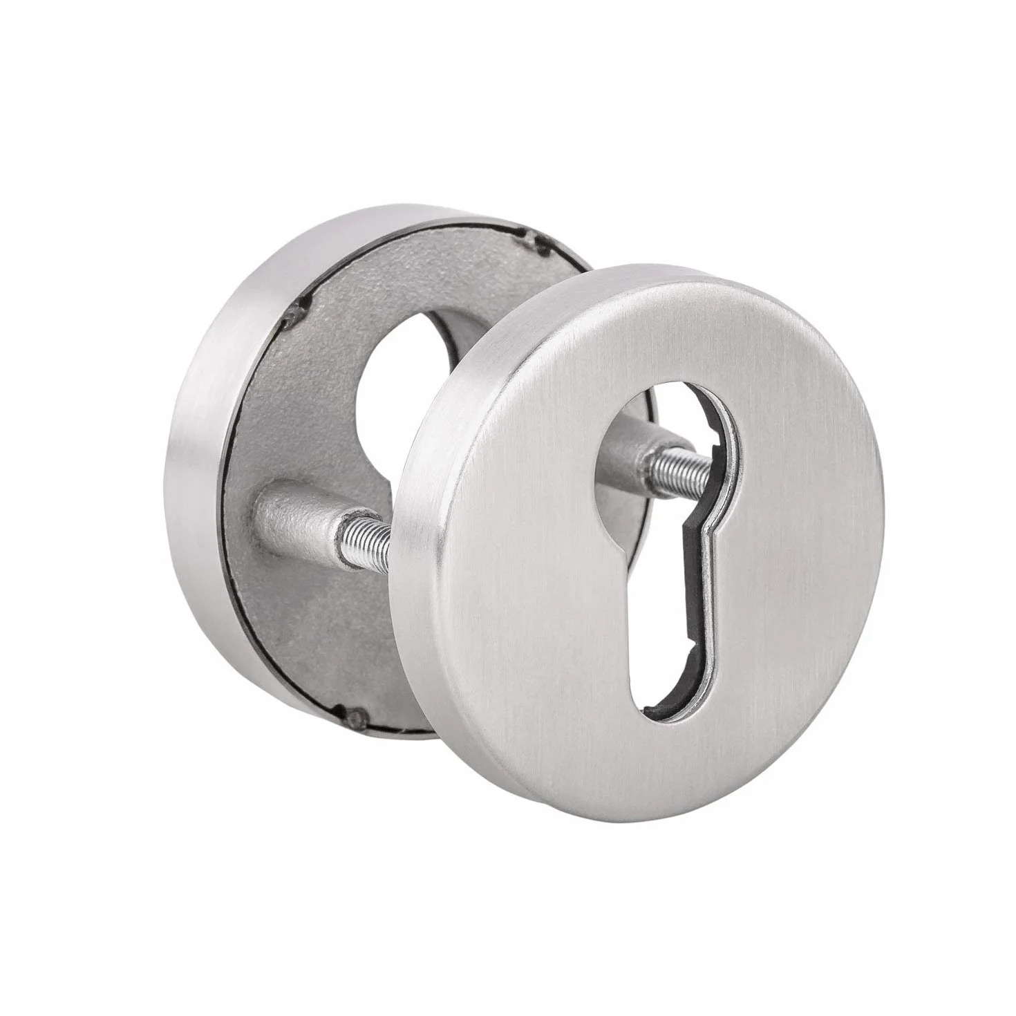 Gedotec V2A - Roseta de seguridad, acero inoxidable, mate, cilindro perfilado