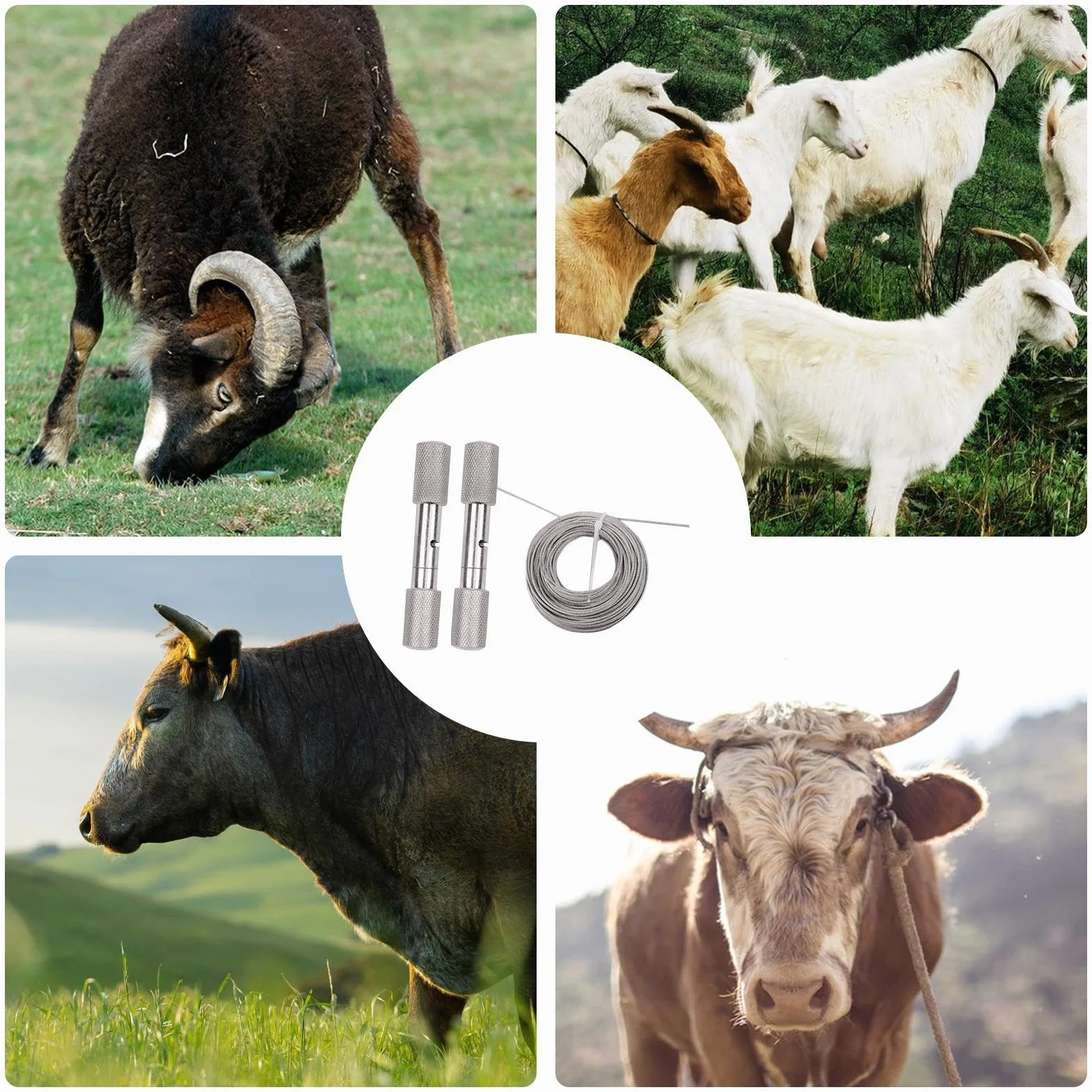 Herramienta para descornar de acero inoxidable, cable de 14 m de longitud, mango de 16 mm de diámetro, cortapelos duradero para cría de animales, equipo de granja veterinaria | Descornado rápido, segu