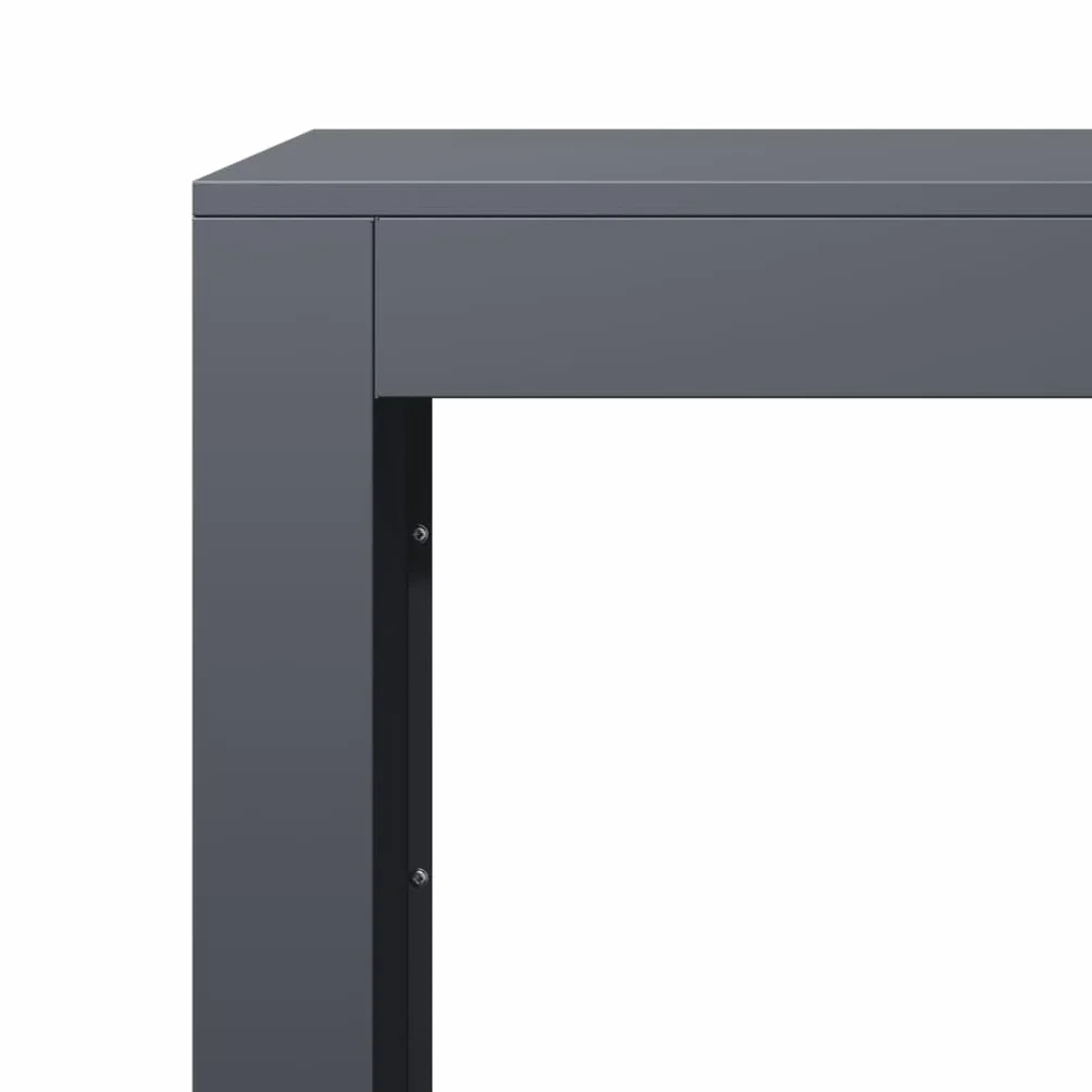 vidaXL Leñero de Acero Gris Antracita 100x40x60 cm, Soporte para leña, Almacenamiento de Troncos, Estante para leñas, Soportes para leña