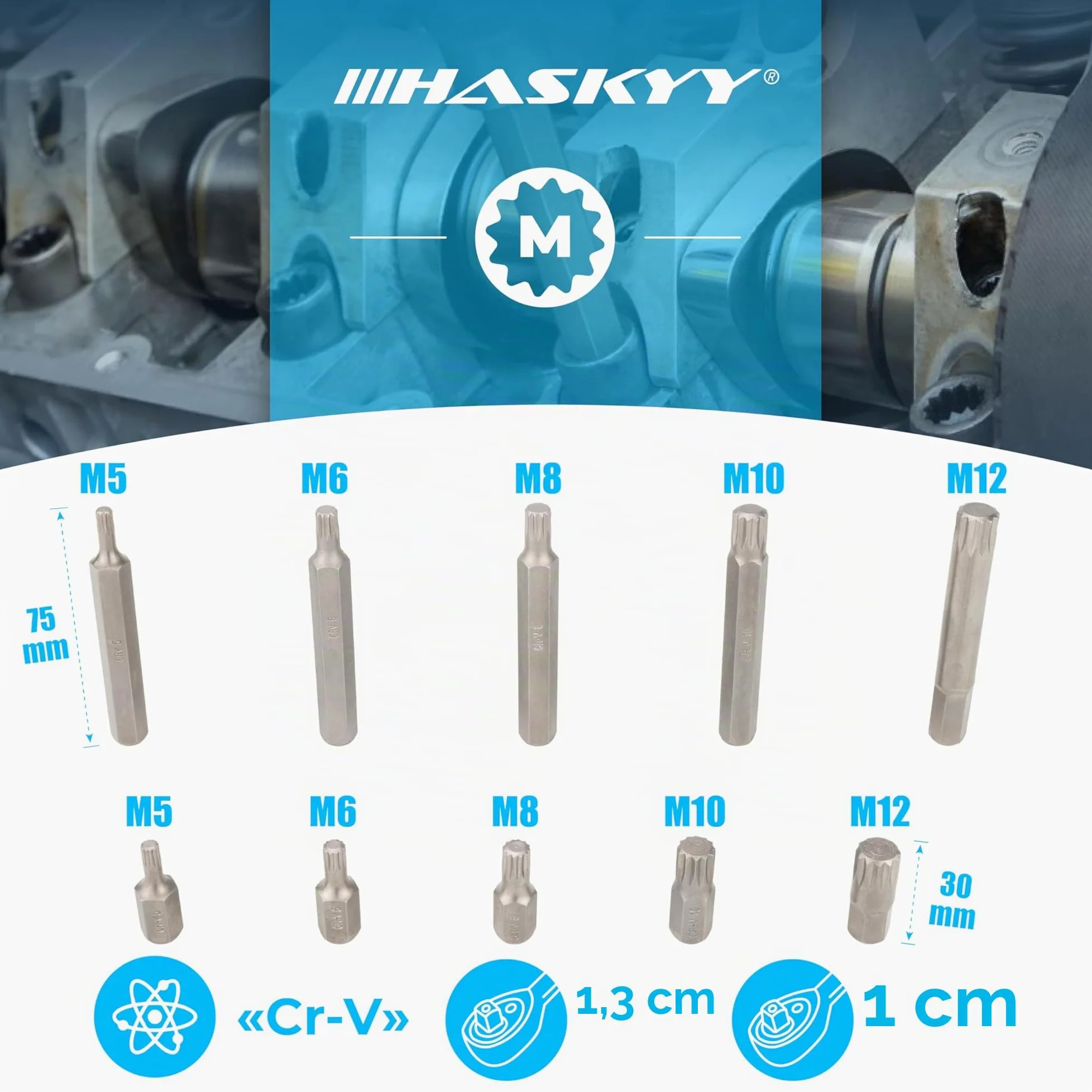 HASKYY 40 piezas Torx llaves // Torx: T20 T25 T30 T40 T45 T50 T55 - M5 M6 M8 M10 M12