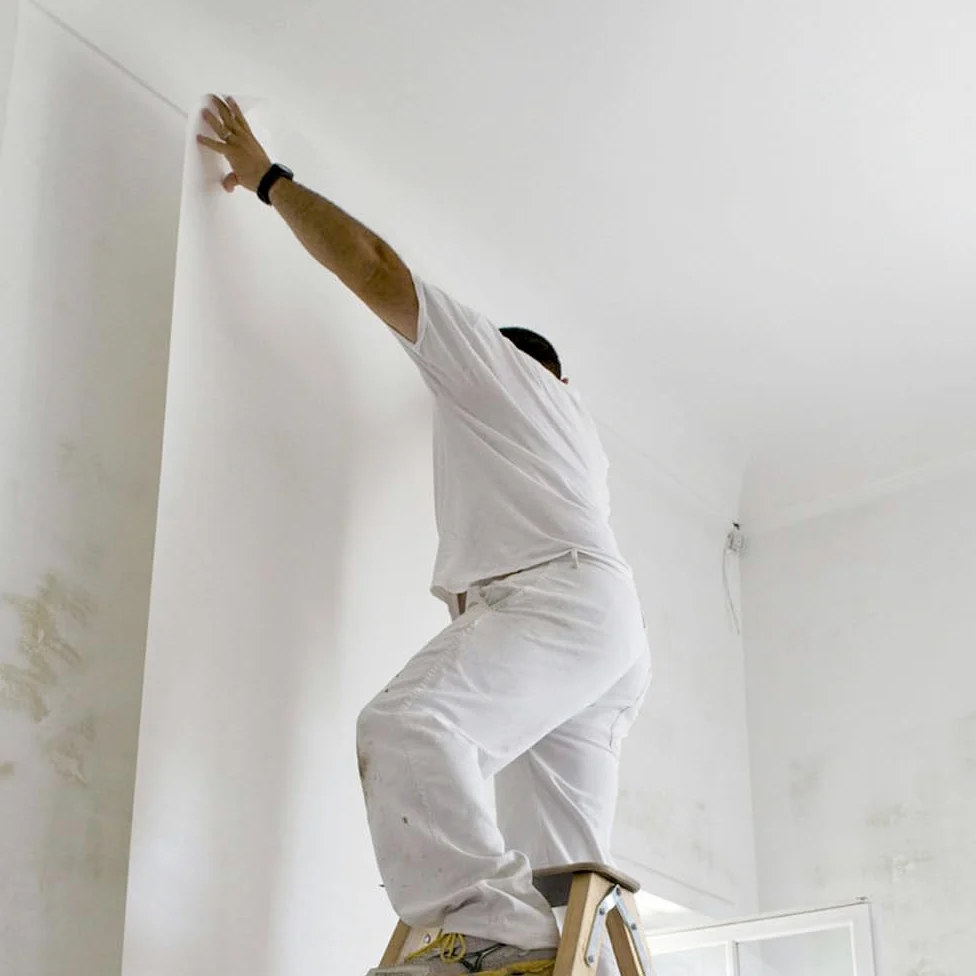 Velo fino pinturas para fachadas y paredes (Rollo 5m x 1m). Refuerzo de pinturas de fachadas e impermeabilización