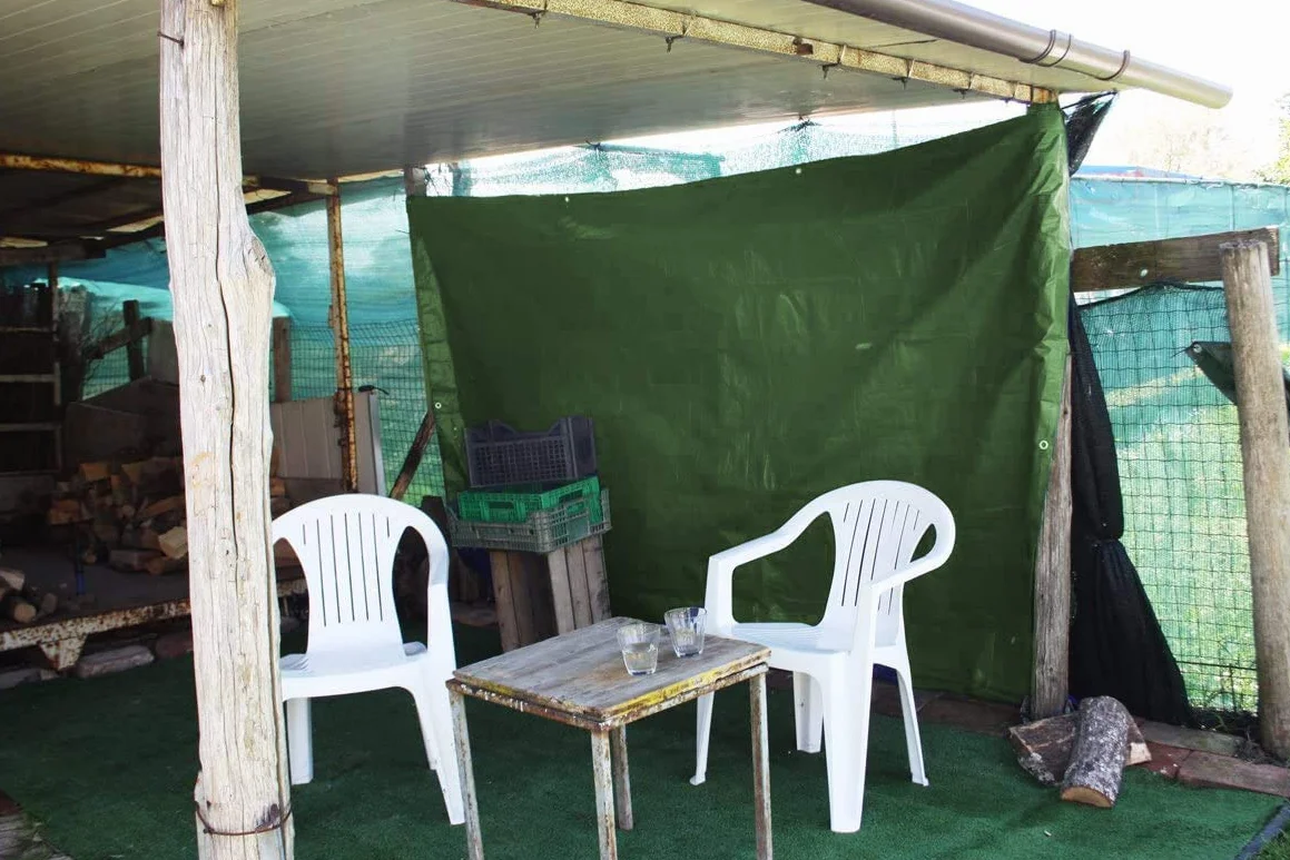 Labor 0300153 Lona de PVC Reforzada con Ojales, Verde, 5 X 6 M
