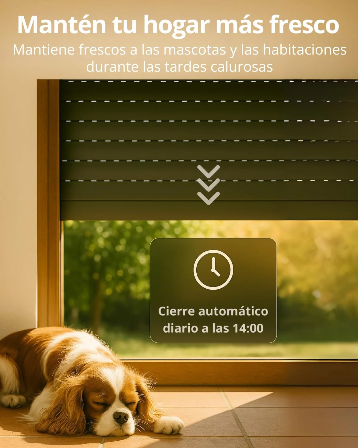 LoraTap Interruptor Persiana WiFi 2 Unidades: Apertura 0–100% con App | Apertura precisa sin parada manual – Grupos – Horarios – Control por voz – Sin hub – Conserva interruptor – AC 4 hilos 300W