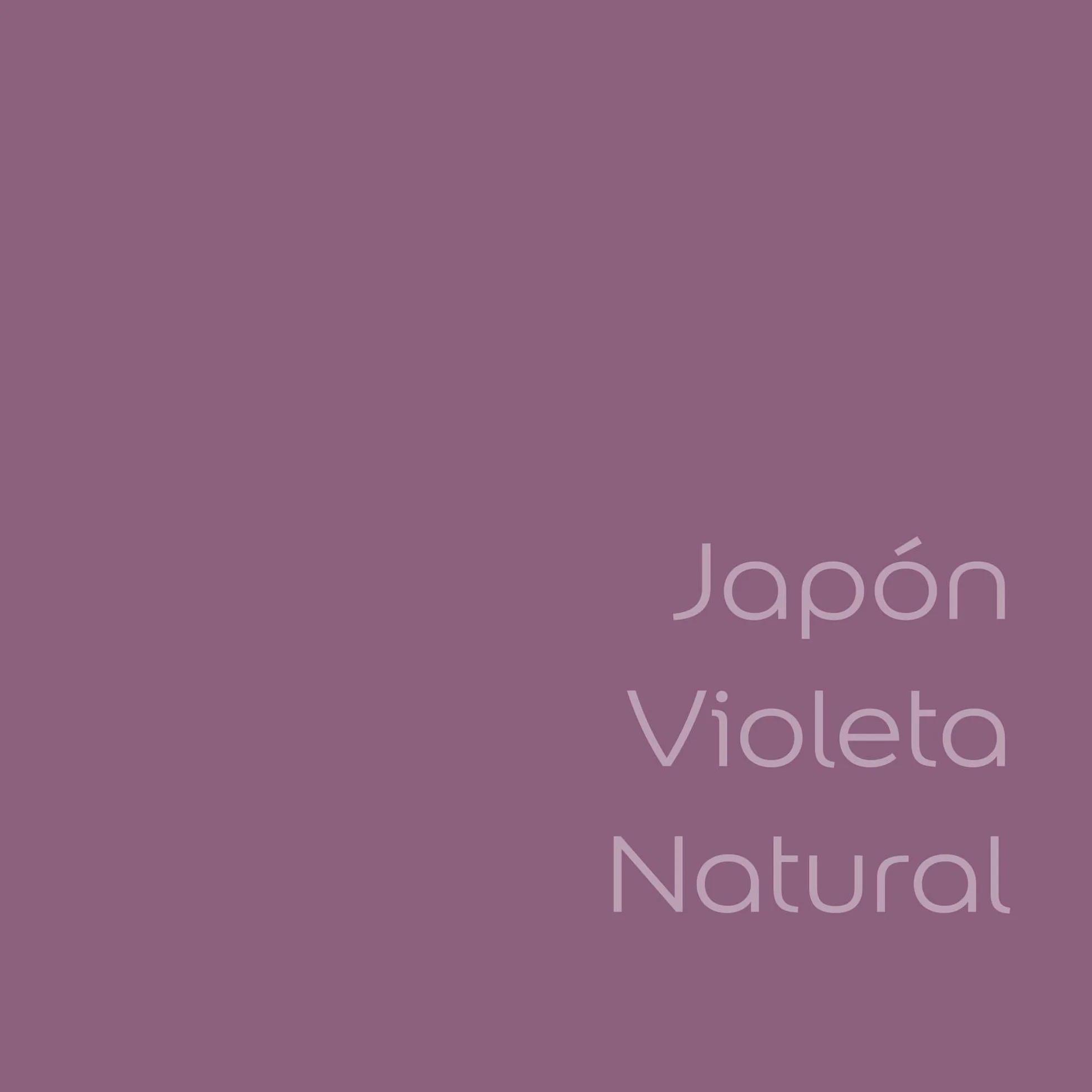 Bruguer Colores del Mundo Pintura para paredes monocapa Japón Violeta Natural 4 L