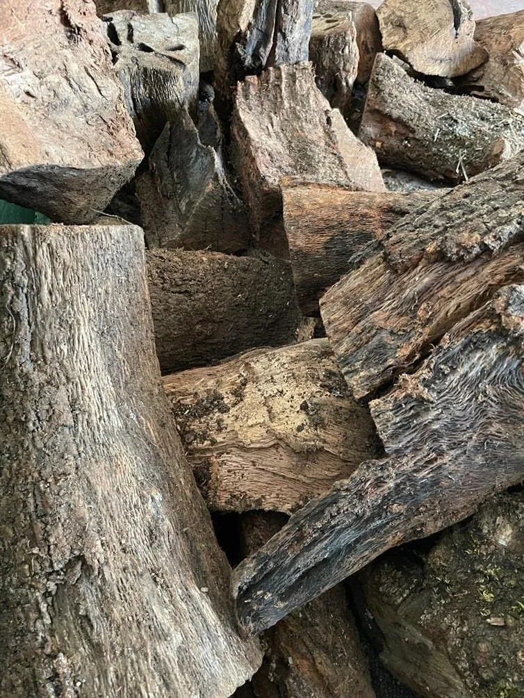 Leña de Encina para Chimenea, Estufa o Barbacoa - Caja 30 kgs