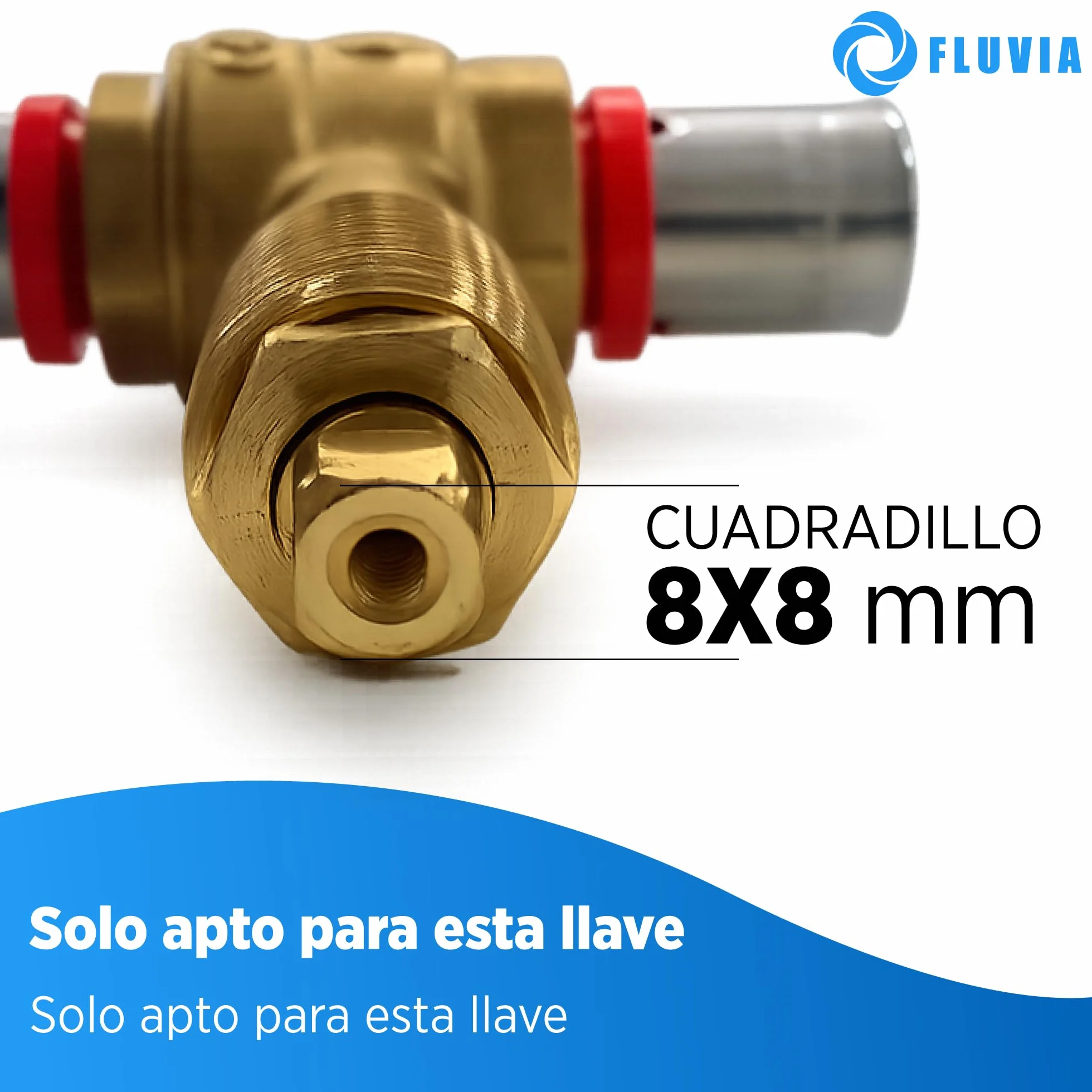 FLUVIA Embellecedor NEGRO Tapa llave de Paso Agua Ø69x59mm Mando Oculto y Plafón para Ducha Piscina Grifo Empotrado