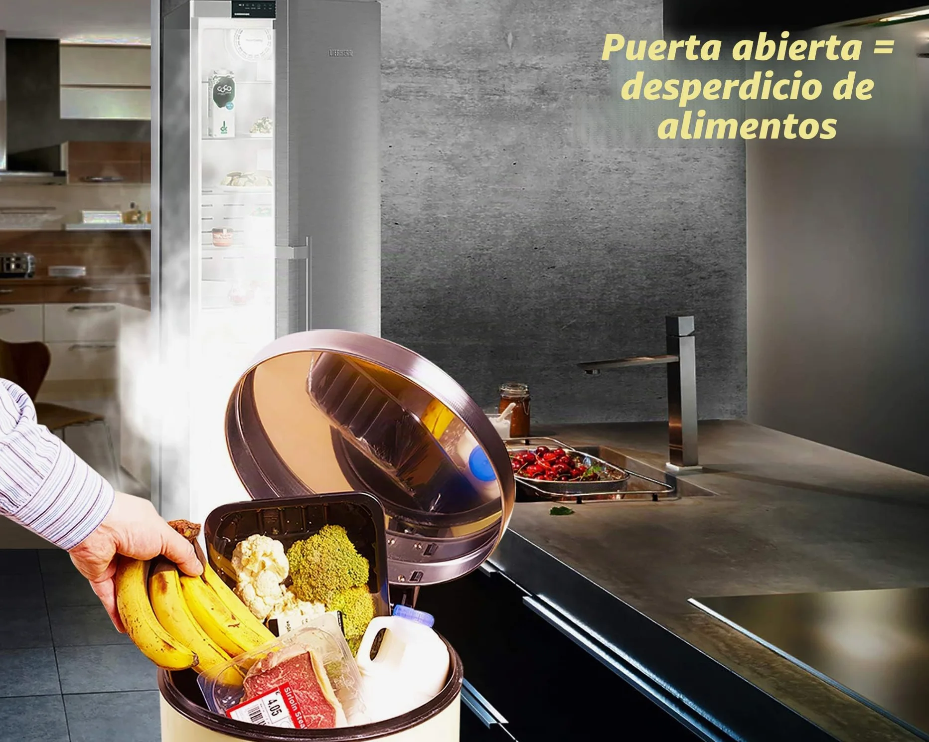 Alarma de Puerta de congelador con retardo de 60 Segundos, recordatorios de 2, 3 y 4 Minutos, Alarma o Timbre para Puerta de refrigerador y Nevera, bajo/Alto 80 a 110 dB (Blanco)