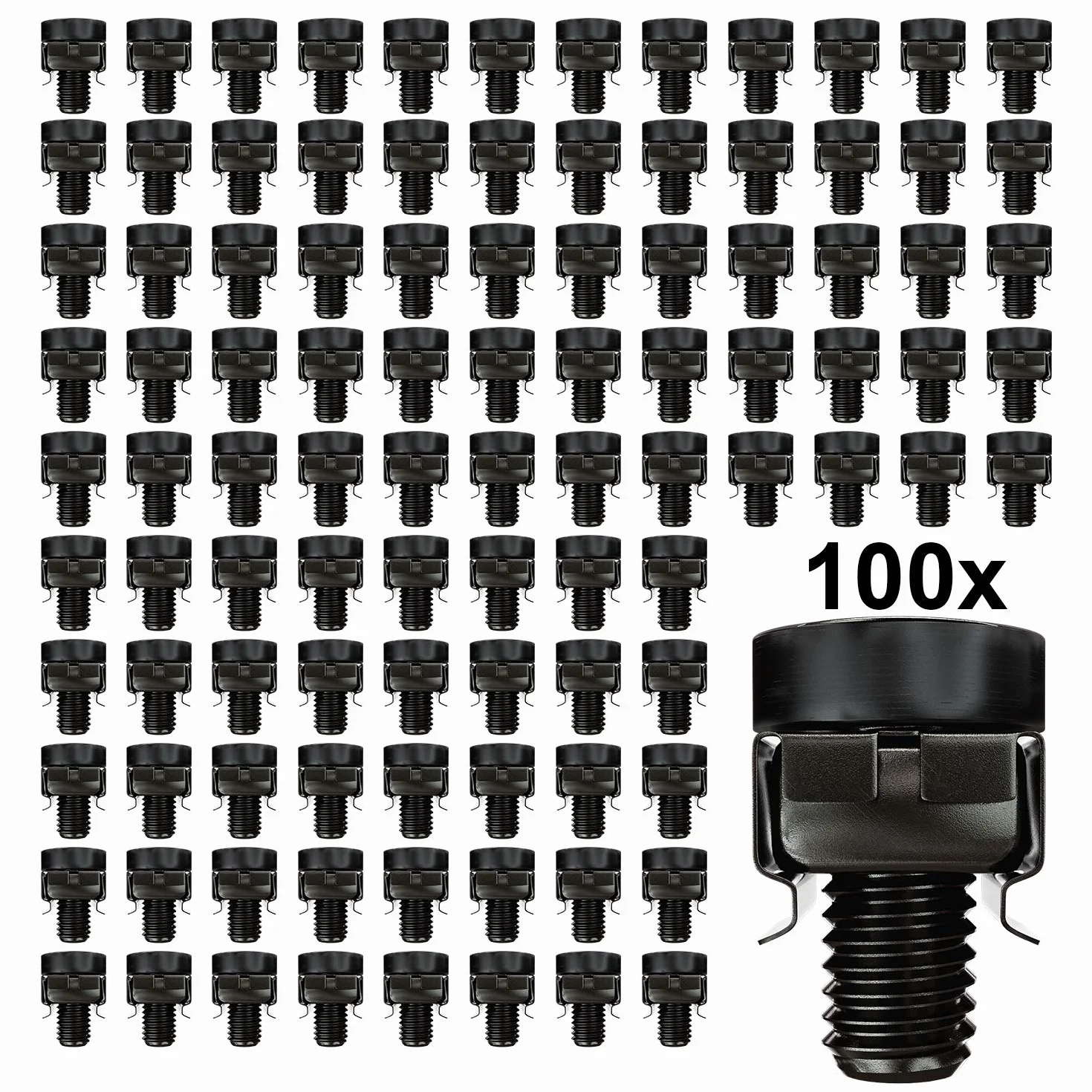 deleyCON 100x Juego de Tuercas Enjauladas M6 y Tornillos para Armario de Red Carcasa del Servidor 19 y 10 Pulgadas Montaje Juego - Negro