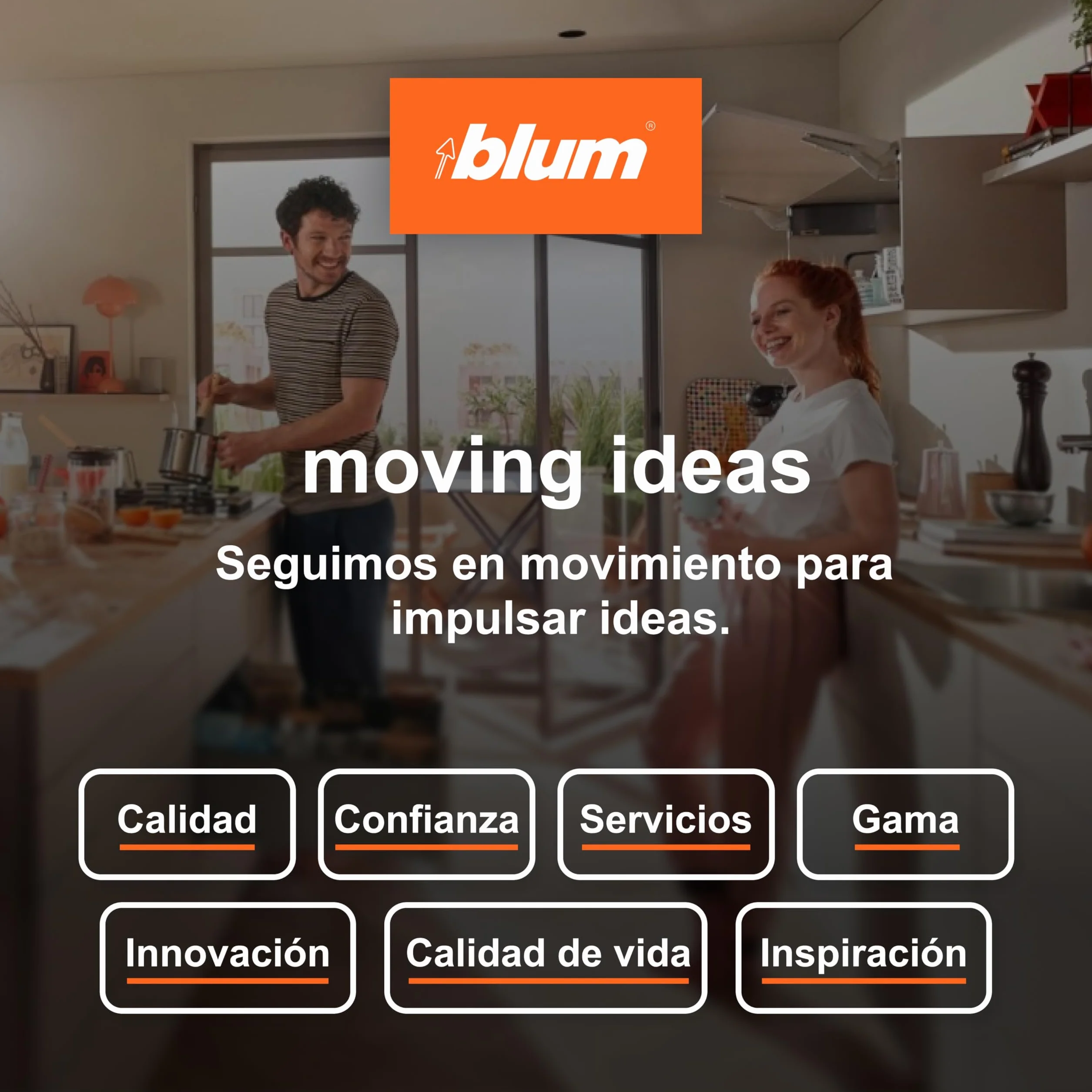 BLUM CLIP TOP BLUMOTION Bisagra muebles 110° recta con muelle acero 2 unidades