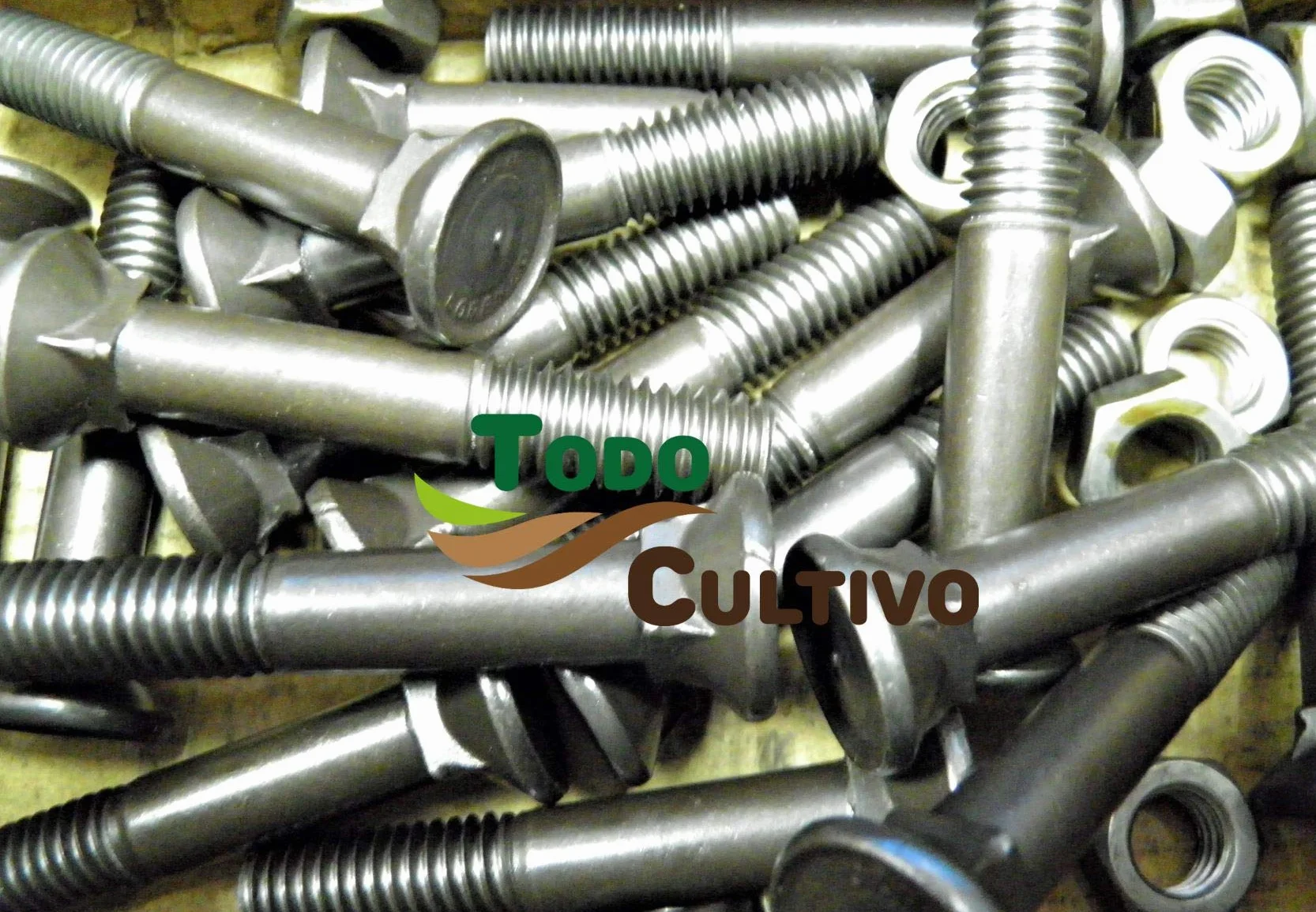 Tornillo de Arado 12X50 DIN 608. Caja 50 Uds. Tornilleria de máxima calidad marca San Lorenzo, con cabeza avellanada especial rejas de arado.