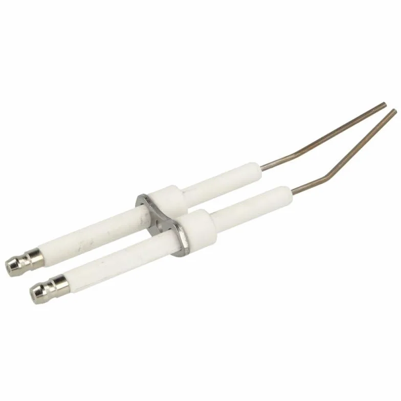Von Paris Electrodos de encendido 1821A compatibles con Wolf 2414304, 8902248 para Premio 02.1/2/3-MH