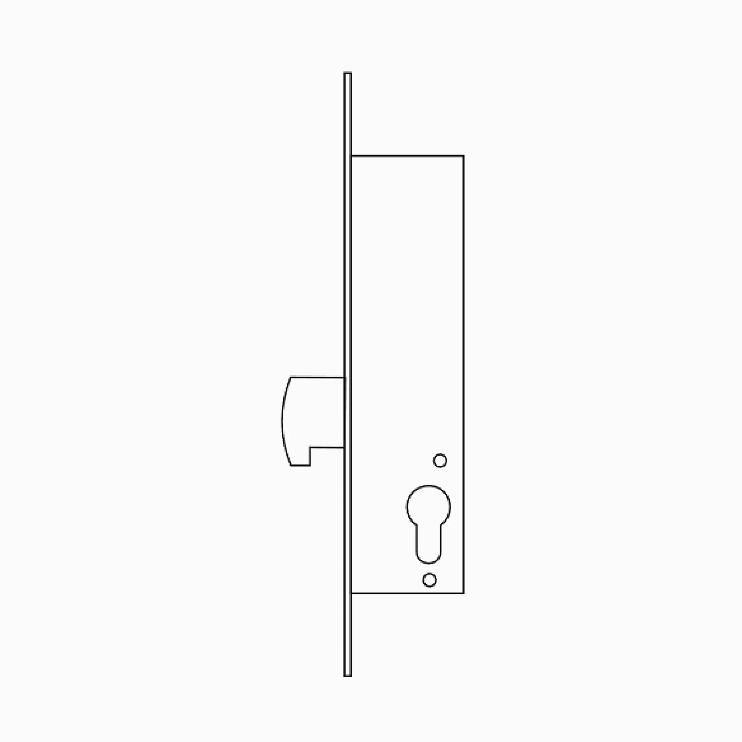 TESA 4241203AI cerradura monopunto de palanca basculante 2241, entrada 20 mm, acero inoxidable, sin cilindro, compatible con cilindro de leva corta, incluye cerradero y escudo E210