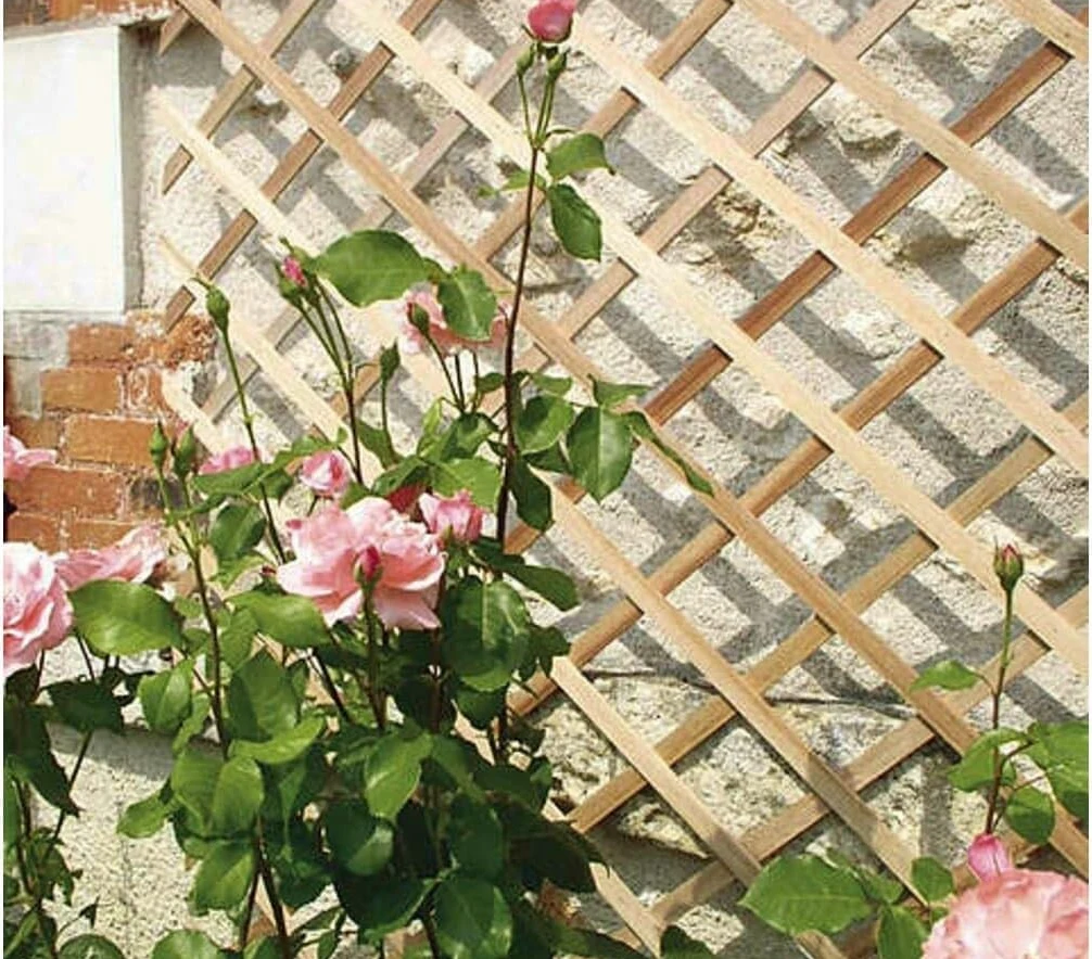 Celosía de Madera Extensible |1x2M | Soporte para Plantas trepadoras |