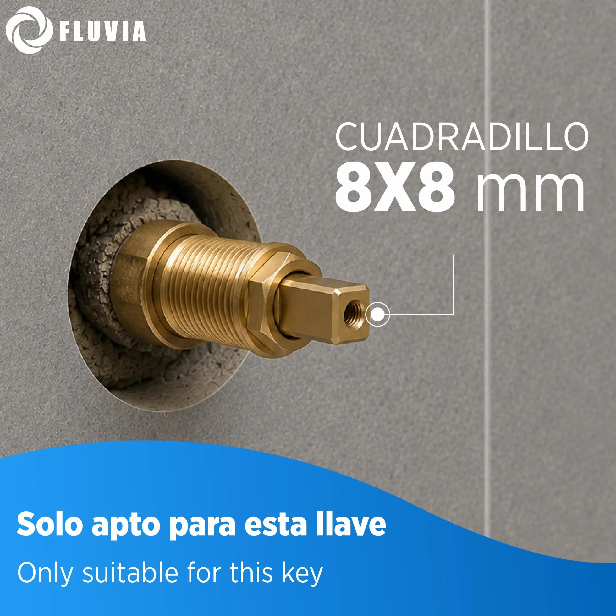 FLUVIA Embellecedor NEGRO Tapa llave de Paso Agua Ø69x59mm Mando Oculto y Plafón para Ducha Piscina Grifo Empotrado