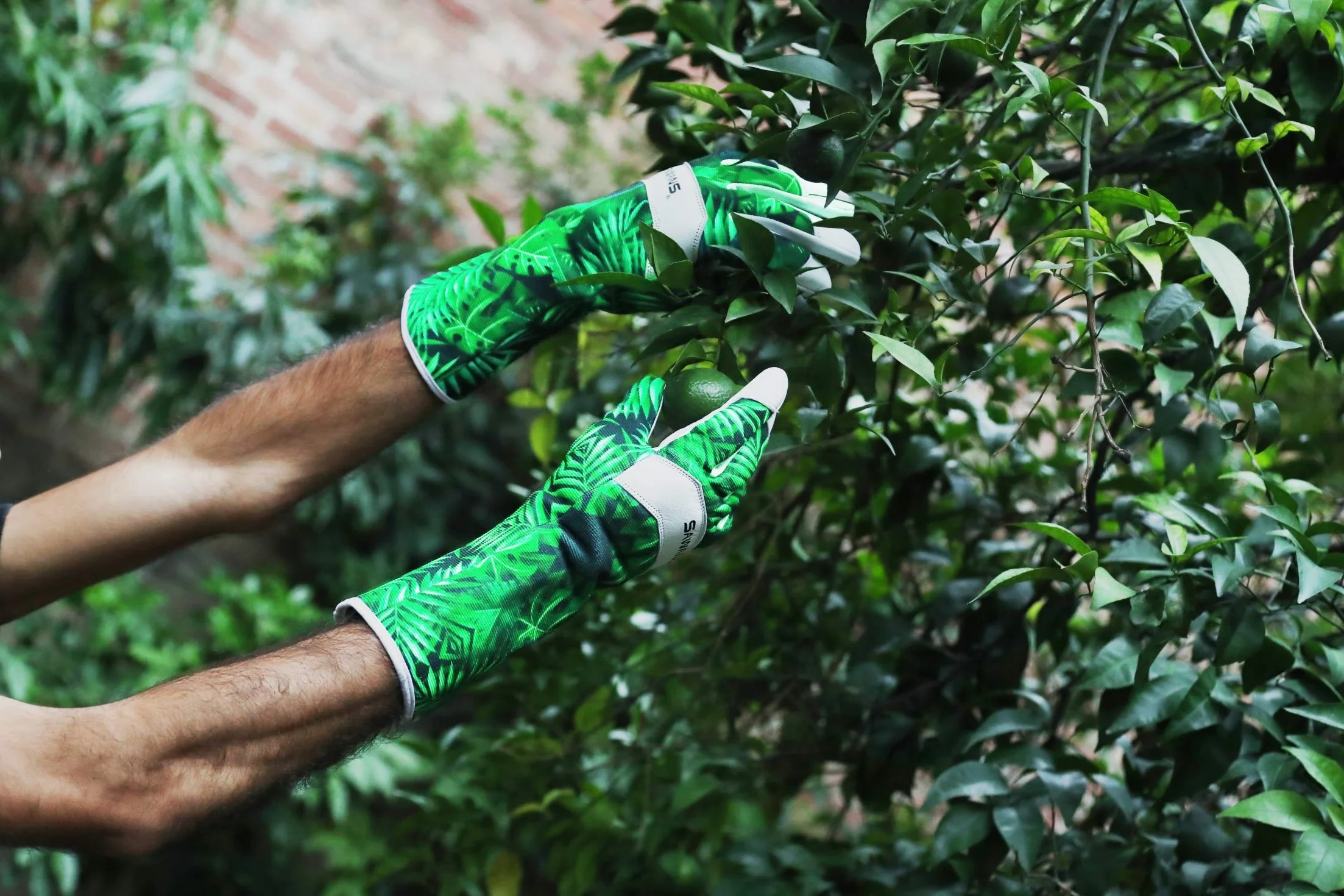 Guantes de Jardinería de Cuero Piel de Cabra Elastano Transpirable a Prueba de Espinas Protección Antebrazo Largo M