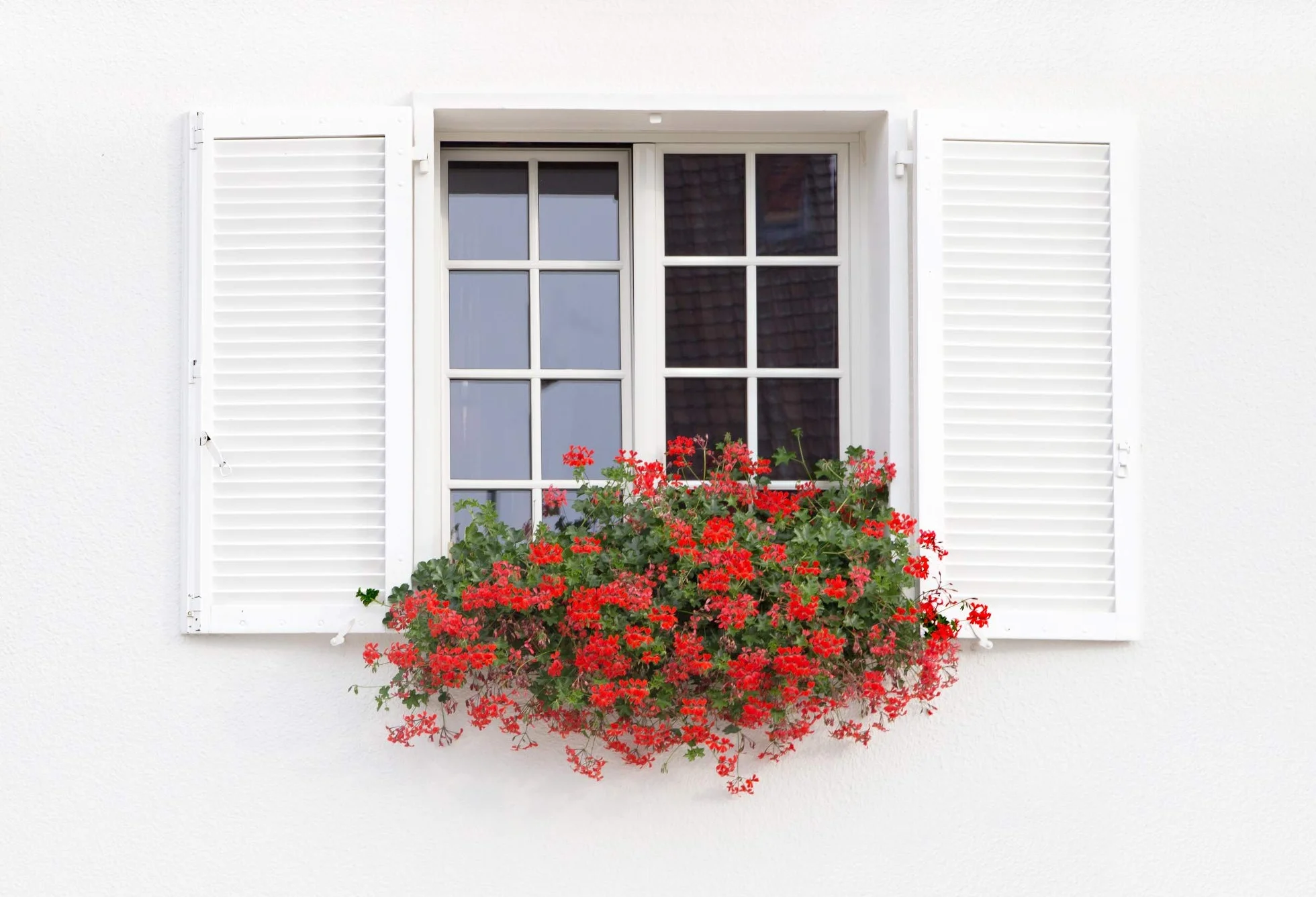 PECTRO Pintura Exterior Fachadas Blanca Pintura Antihumedad | Revestimiento Exterior Impermeable Color Blanco (5 KG)