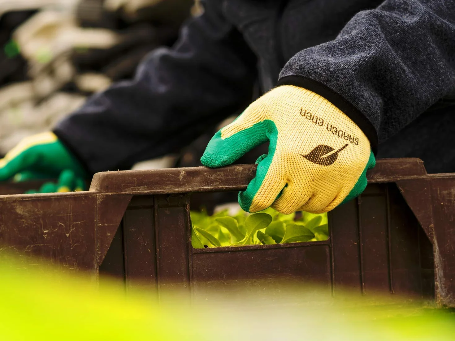 ACE Guantes de jardinería Garden Eden 3 pares antideslizantes flexibles EN 388 L