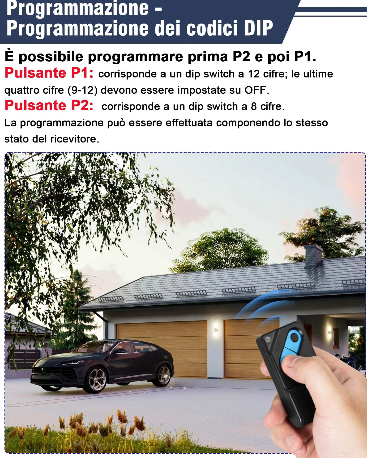 RUIZHI Mando a distancia para TM2 433 DS (2 canales, 433 MHz, 2 unidades)
