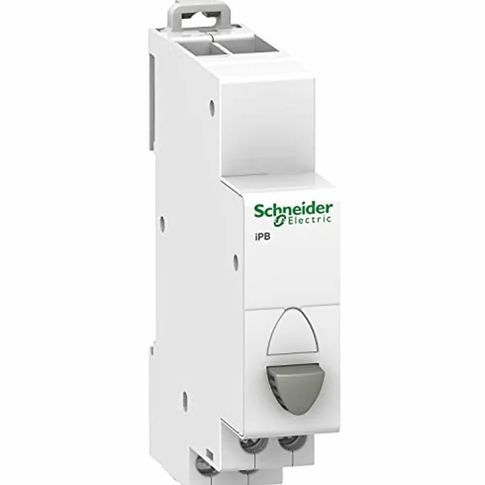Schneider Electric A9E18033 Pulsadores IPB Simple 1NO-1NC, Gris