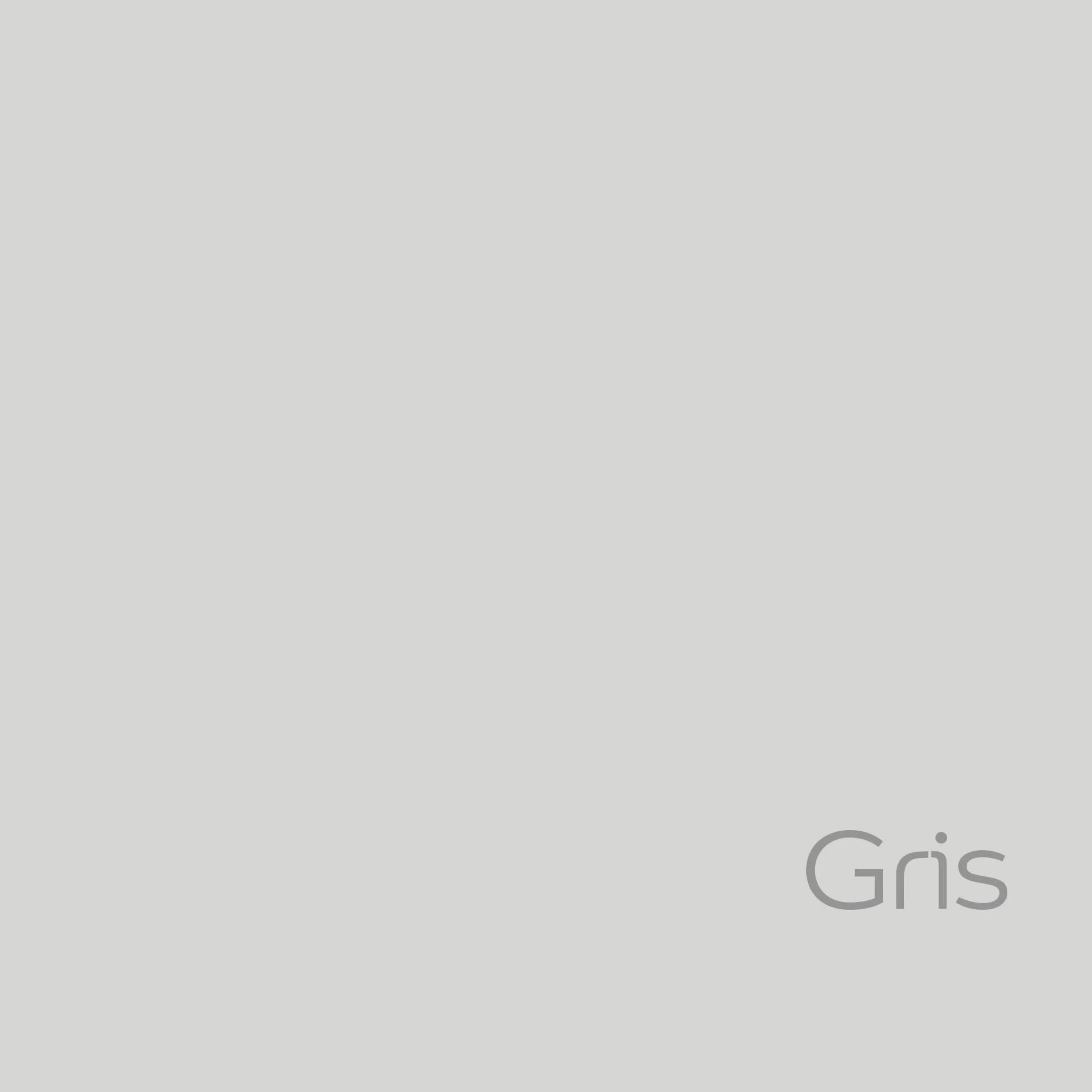 Bruguer Vernis à Carrelage à l'Eau Gris Satiné 750ml