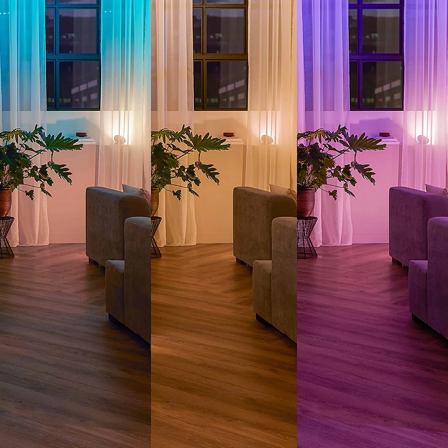 Philips Hue - Módulo de interruptor de pared, permite un acceso constante a dispositivos Hue, instálalo detrás de los interruptores de pared existentes, Pack de 2, blanco