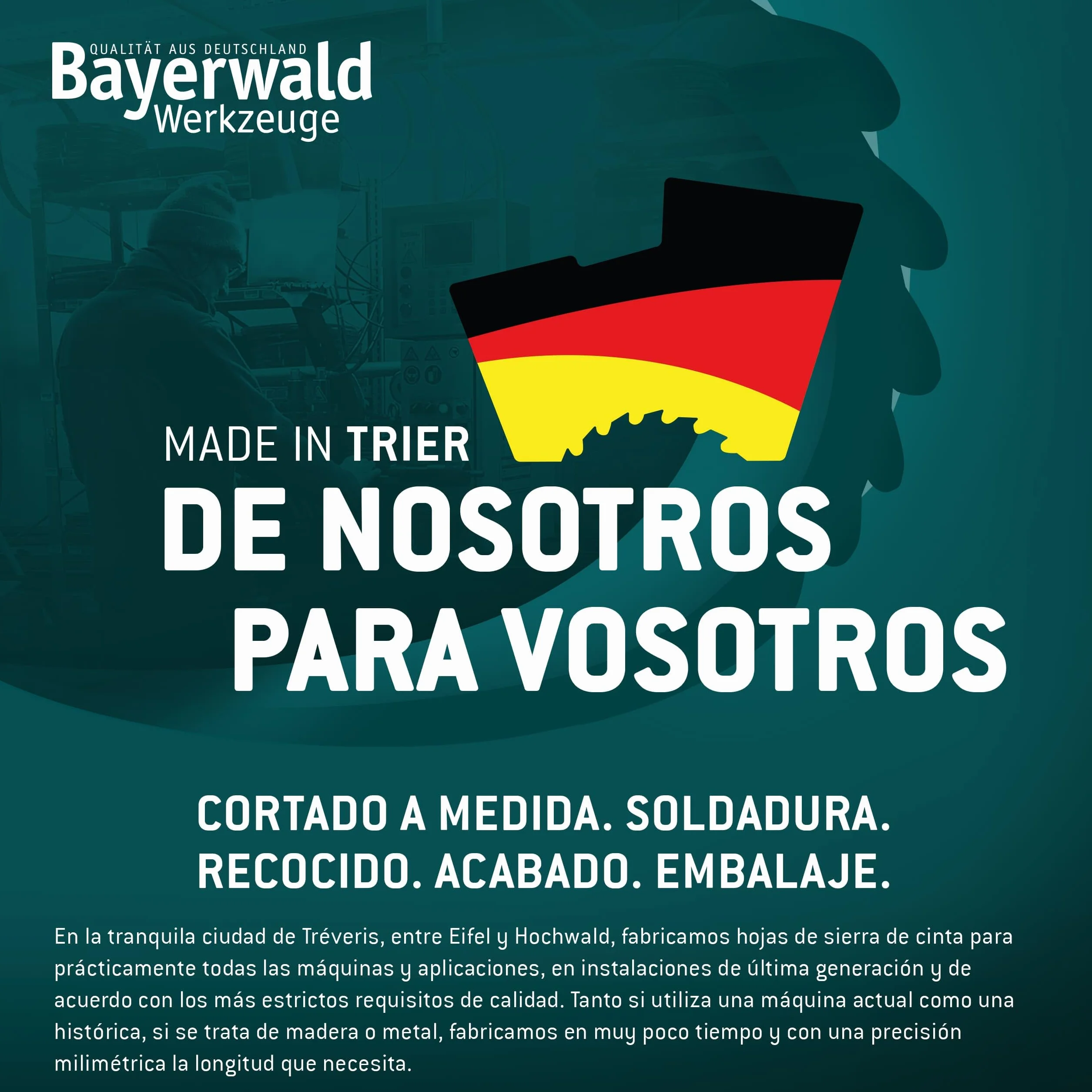 Bayerwald Uddeholm Hoja de sierra de cinta 2240 x 10 x 0,6 x 6 mm para madera