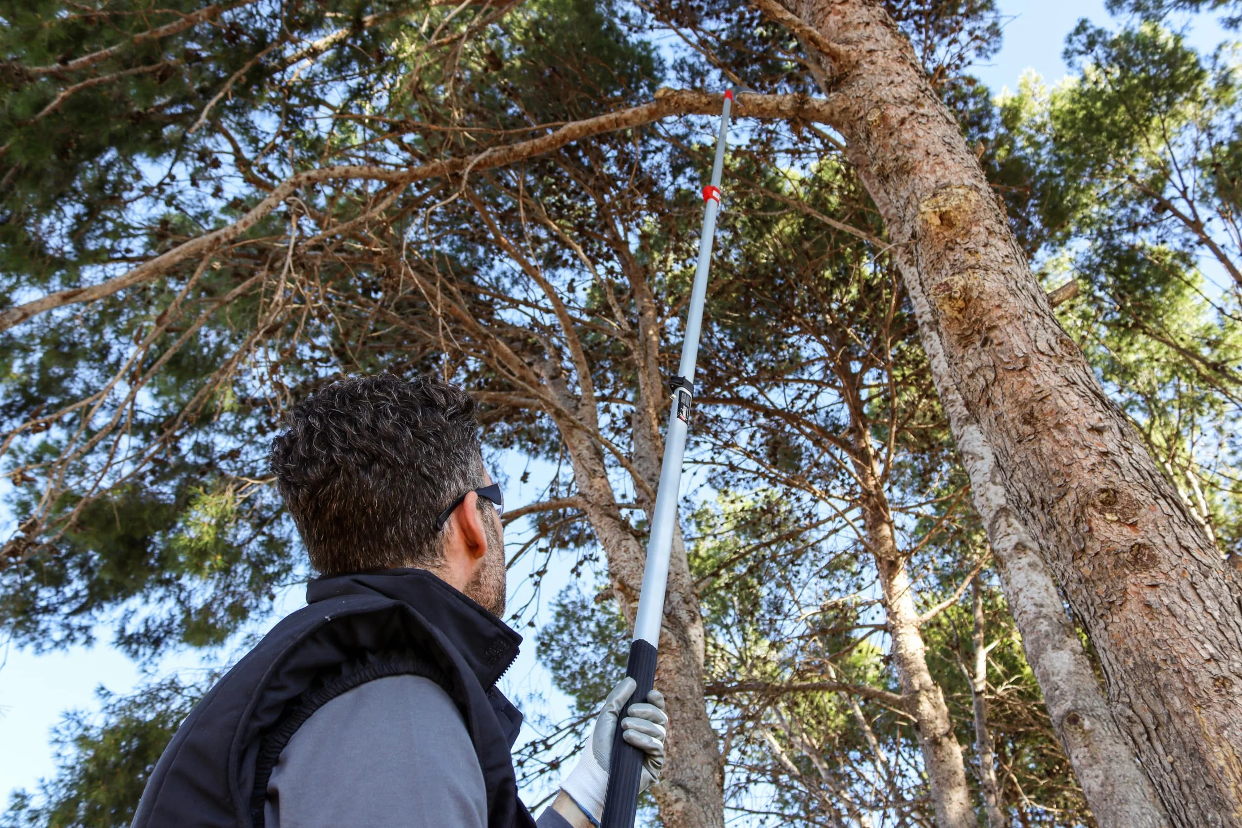 Serrucho Telescópico de Poda en Altura 1,5–4,5M con Hoja Curva SK-4 Cromada 360mm