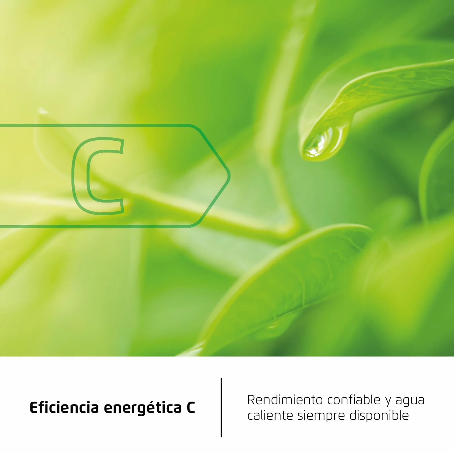 Corberó Termo Eléctrico CTM80ENV 80L Resistencia Envainada Eficiencia Energética C