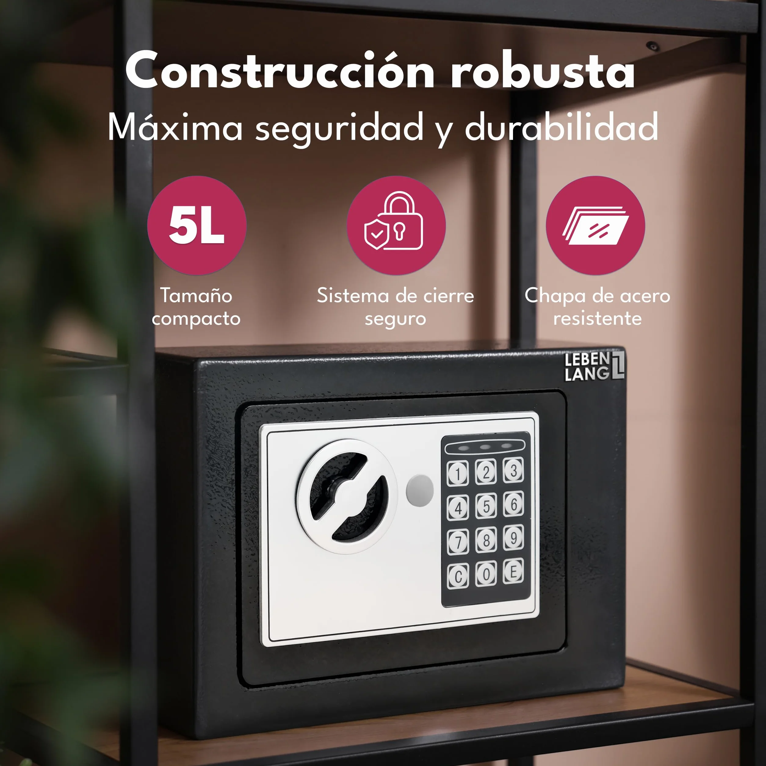 LEBENLANG Caja fuerte pequeña 5L para hogar con cerradura de combinación y bolsa ignífuga