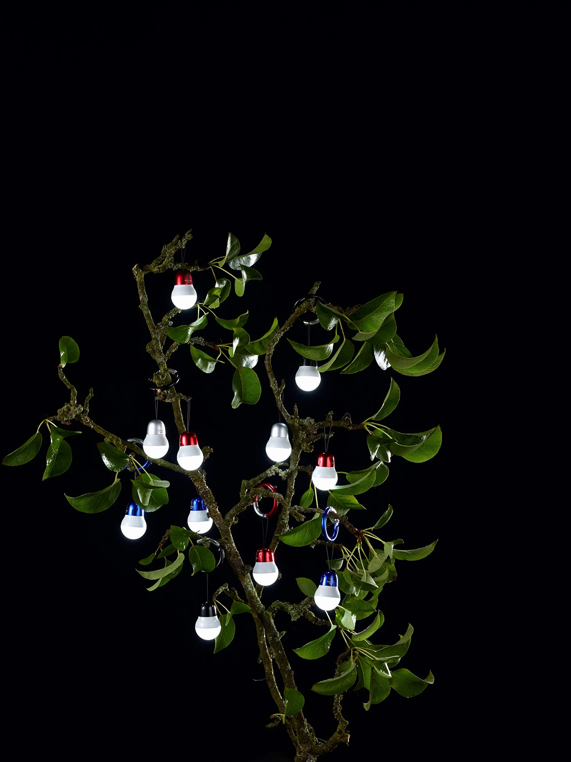 TROIKA BAG LIGHT Linterna de llavero LED Azul, Blanco