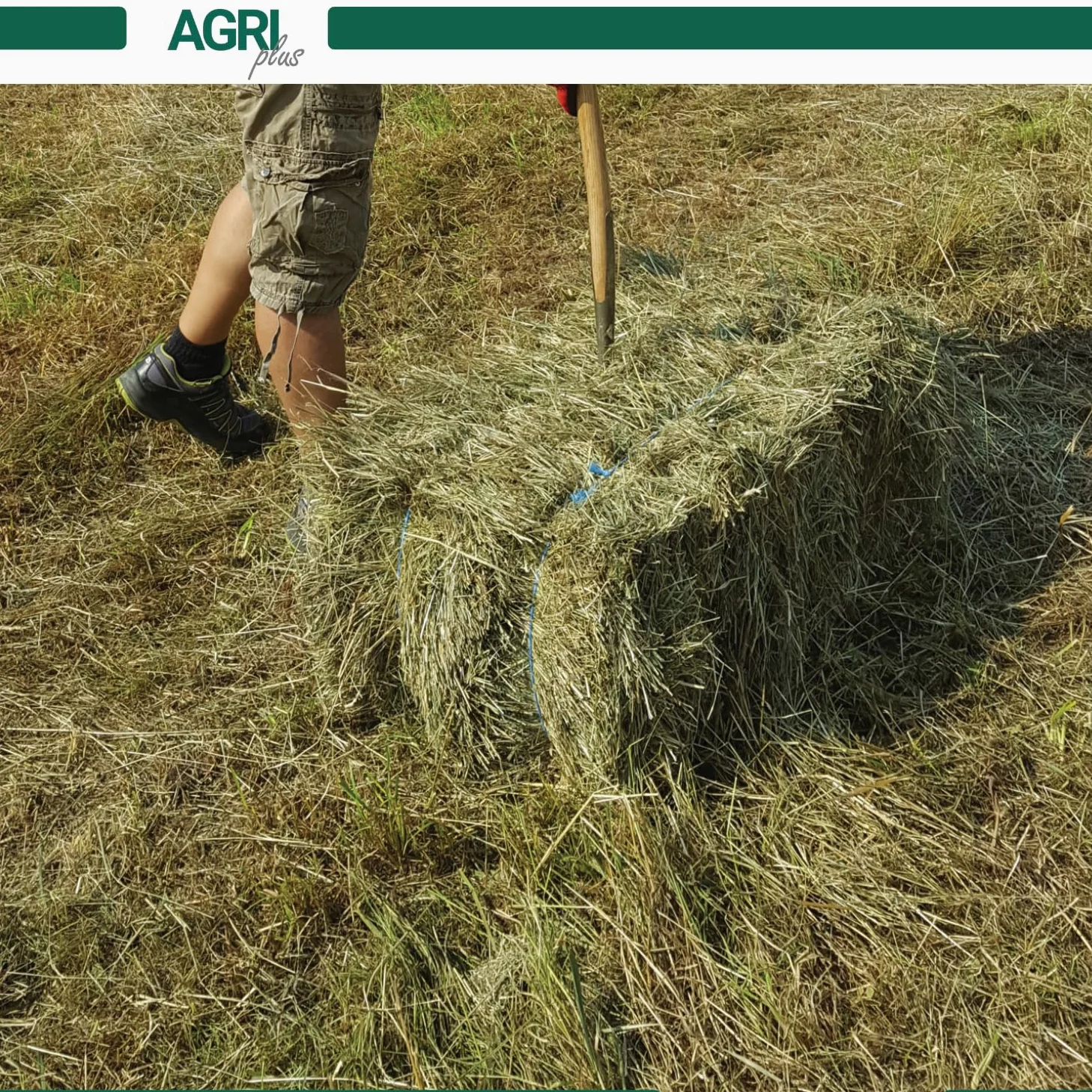 Erntegarn - Hilo de prensado para carretes de alta presión (10 kg, 400 m/kg)