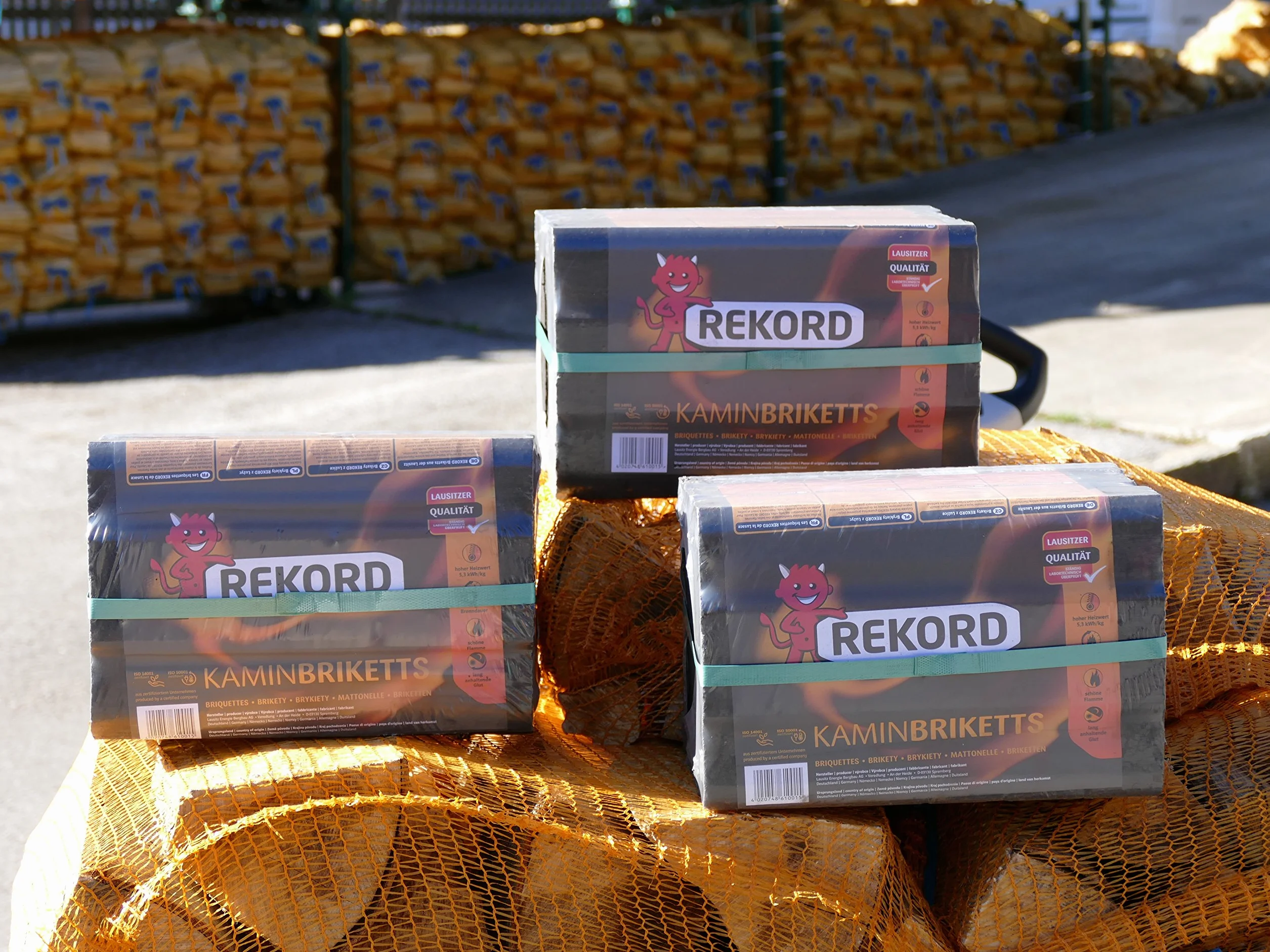 Energie Kienbacher Briquetas de lignito de 10 kg en práctico paquete de láminas