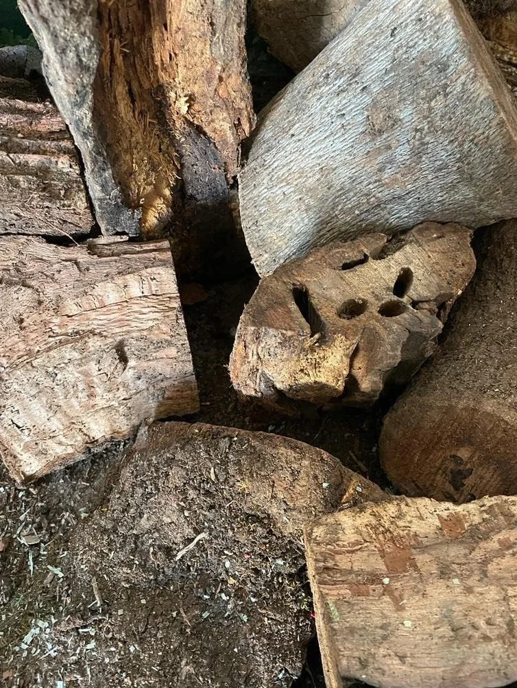 Leña de Encina para Chimenea, Estufa o Barbacoa - Caja 30 kgs