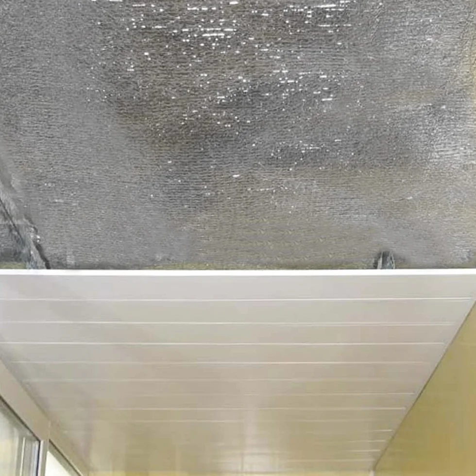 Aislante Térmico Reflexivo 25m x 1,20m con 2 Capas de Aluminio 100% - Aislamiento para Viviendas, Caravanas, Garajes