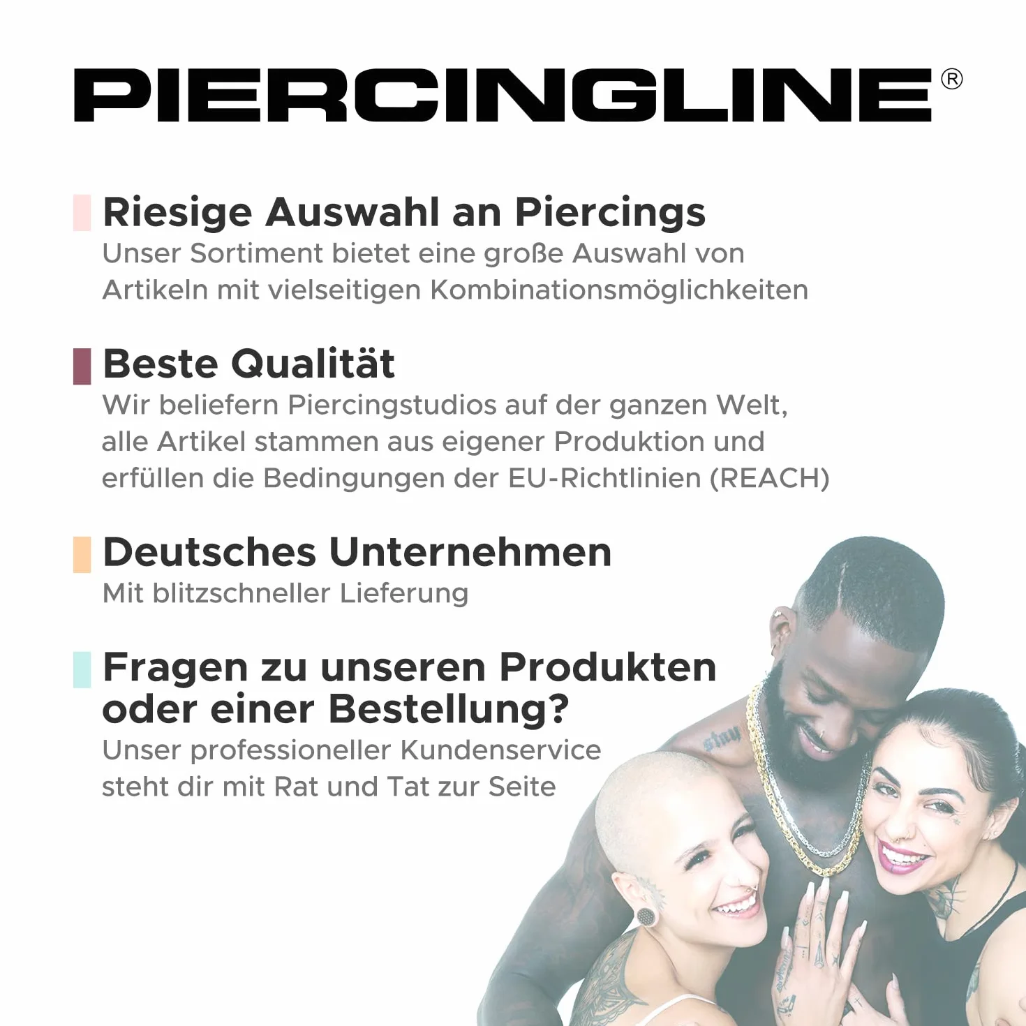 Piercingline, Piercing de acero inoxidable PG01 para abrir y cerrar el anillo, modelo a elegir y acero inoxidable, color plateado