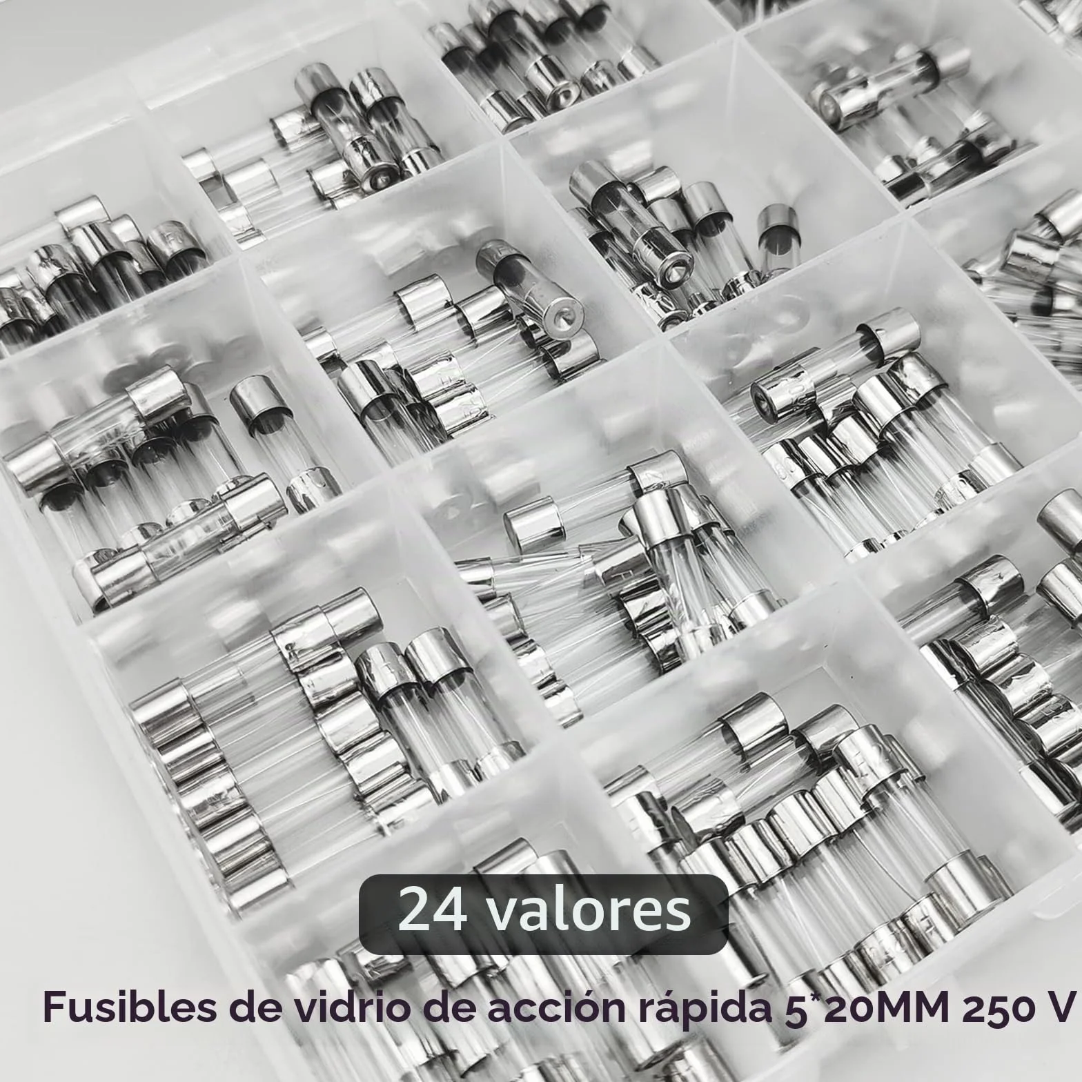 240 Piezas Fusibles de Vidrio 5x20mm 250V Rápida Fusión Kit 0.1-30A Caja Plástico