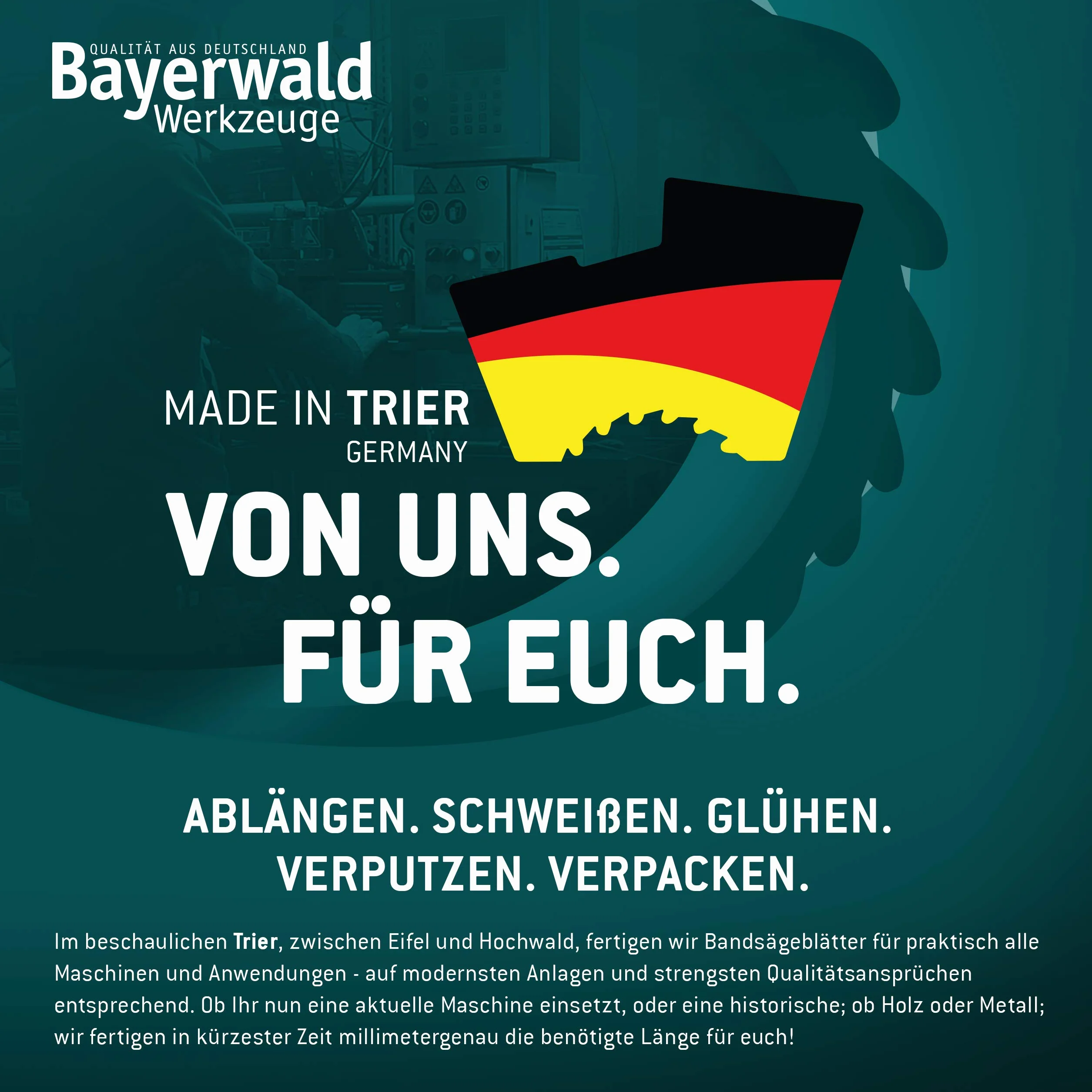 Bayerwald Hoja de sierra de cinta de acero 1790 x 6 x 0,5 x 6 cm para madera metales no ferrosos plástico chapas delgadas Holzstar HBS 251