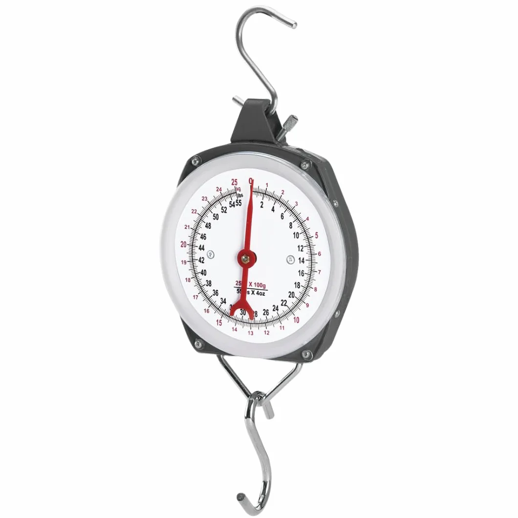 PFIFF 103108 - Báscula con puntero (carcasa de metal resistente y frontal de plexiglás, incluye dos ganchos de acero inoxidable, 50 kg)