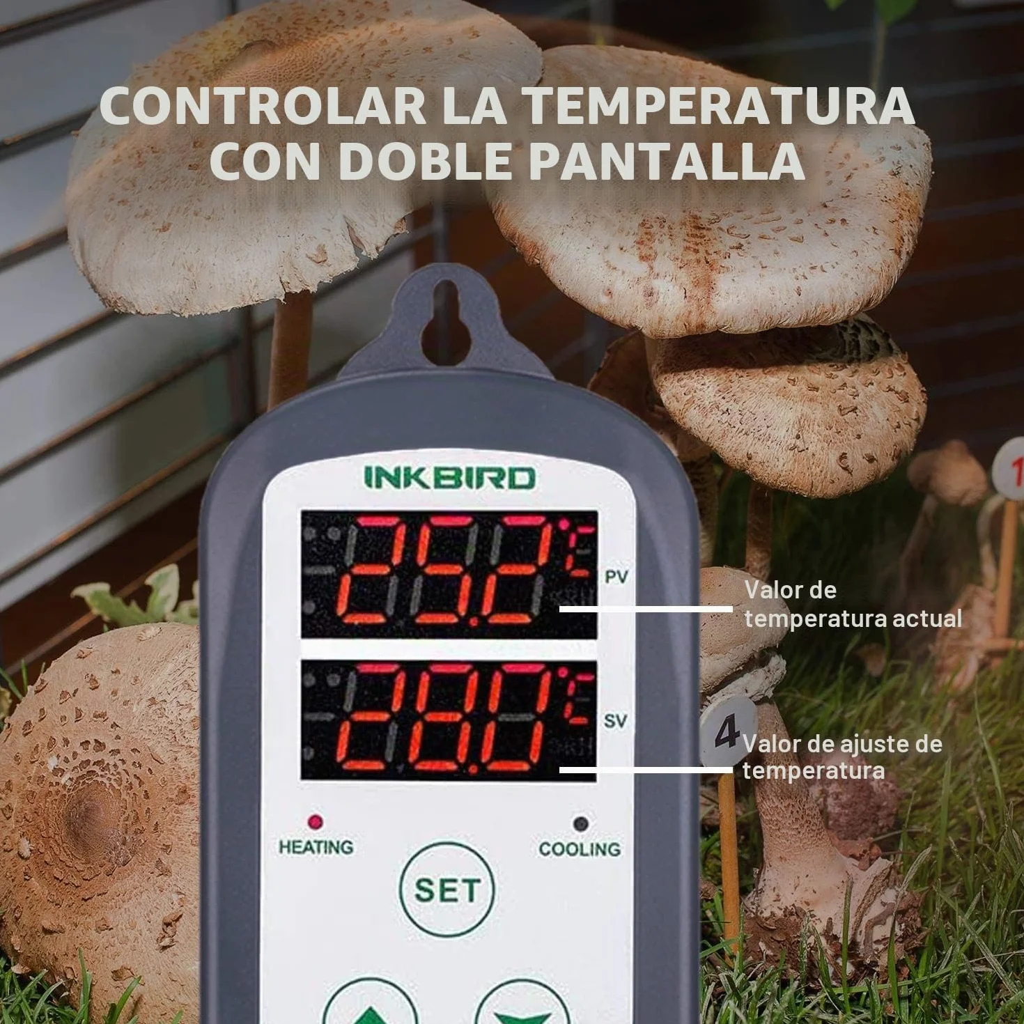 Inkbird ITC-308 Termostato con Sonda Digital,Doble Rele 220v Controlador de Temperatura Refrigeración y Calefaccion Regulador para Calentador Acuario y Peceras,Terrario Incubadoras Reptiles
