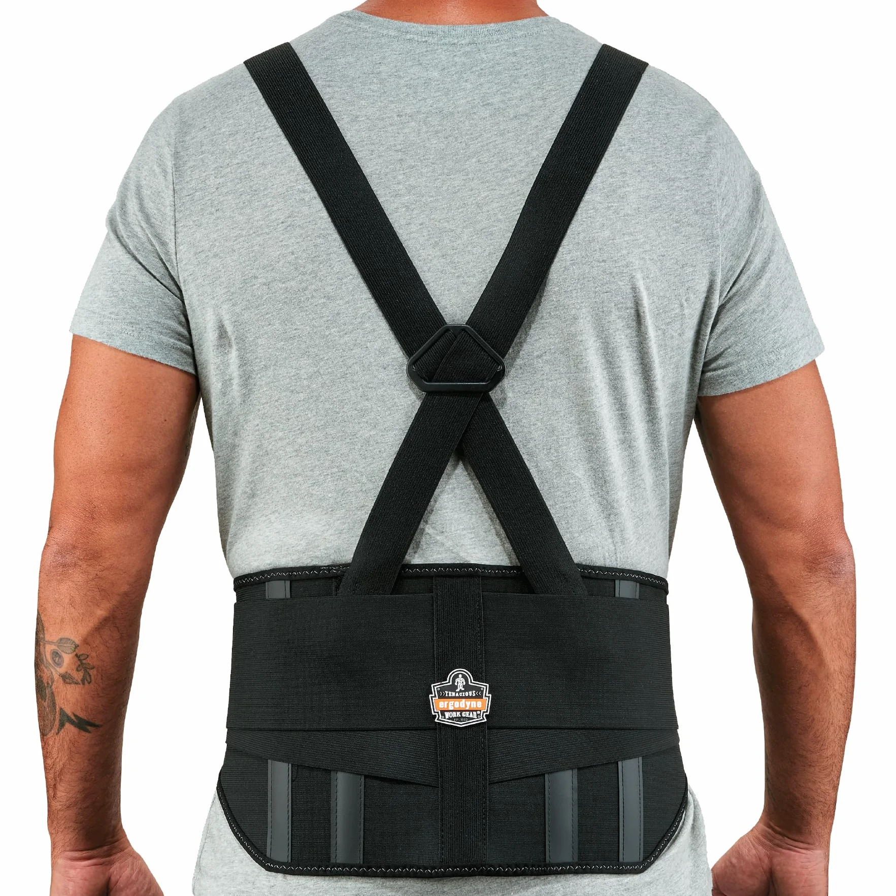 ProFlex 1600 - Cinturón lumbar (tamaño: L), color: negro