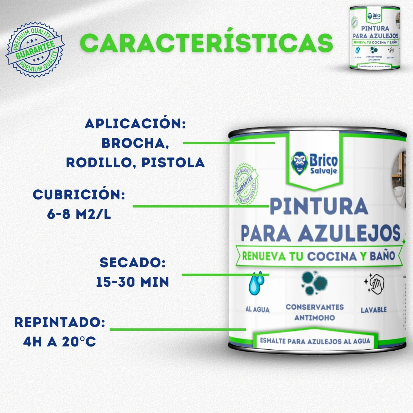 Pintura para Azulejos Cocina y Baño al Agua BRILLANTE | Sin Imprimación | Lavable | Gran dureza (Negro Ébano, 750 ML)