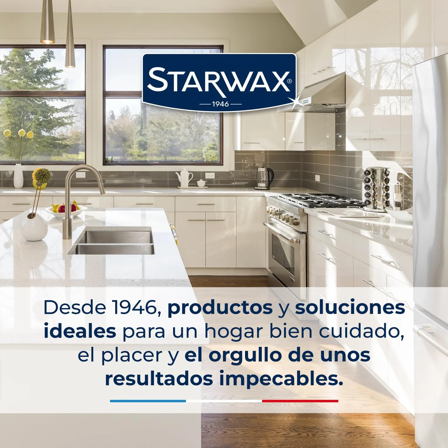 STARWAX – Rascador para placas de vitrocerámica e inducción con cuchilla de recambio de acero inoxidable – Elimina restos de comida y grasa quemada – No raya
