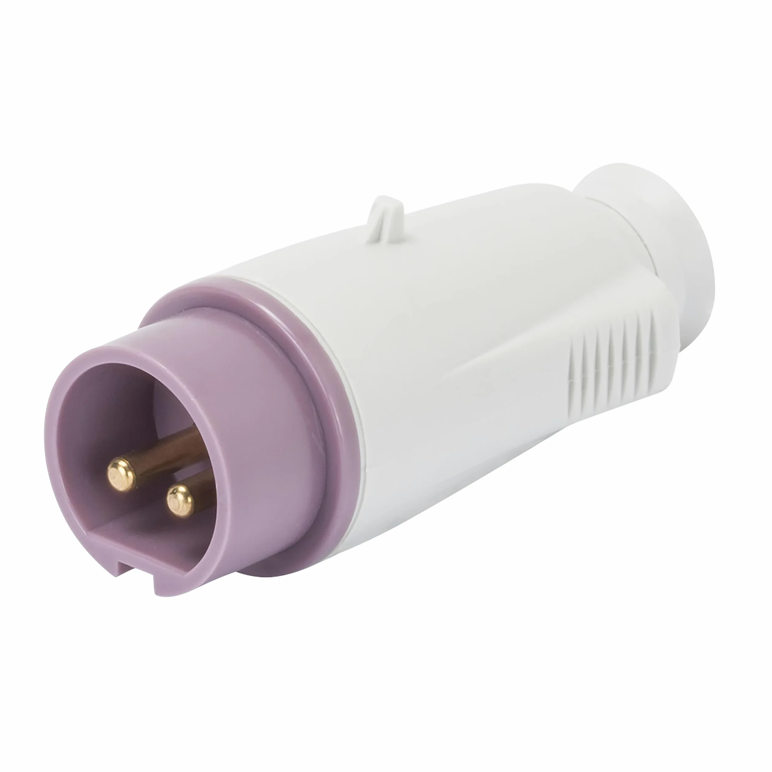 Gewiss 60 iec - Clavija Macho 32a 2 Polos 24v ip44